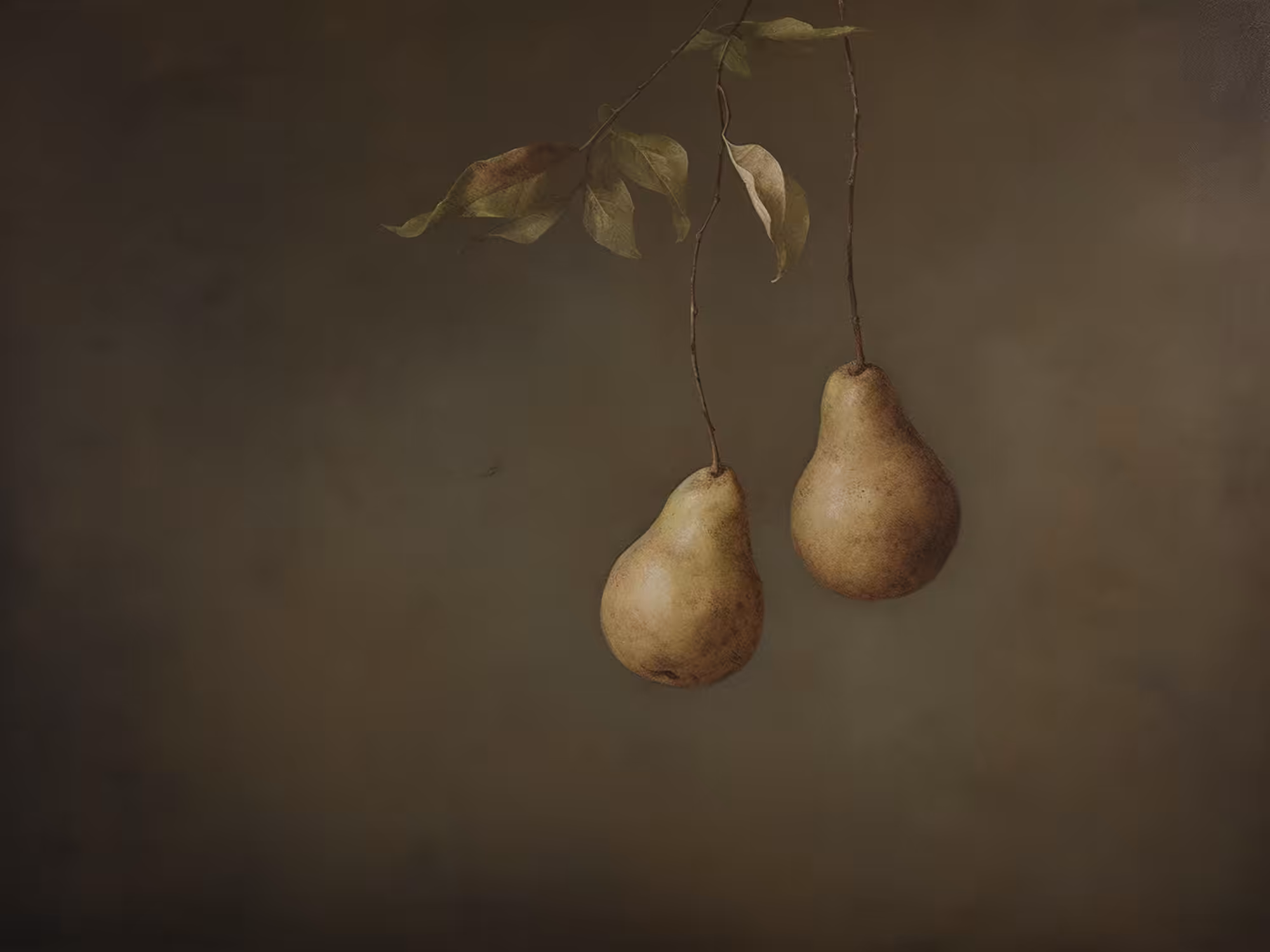Pears
