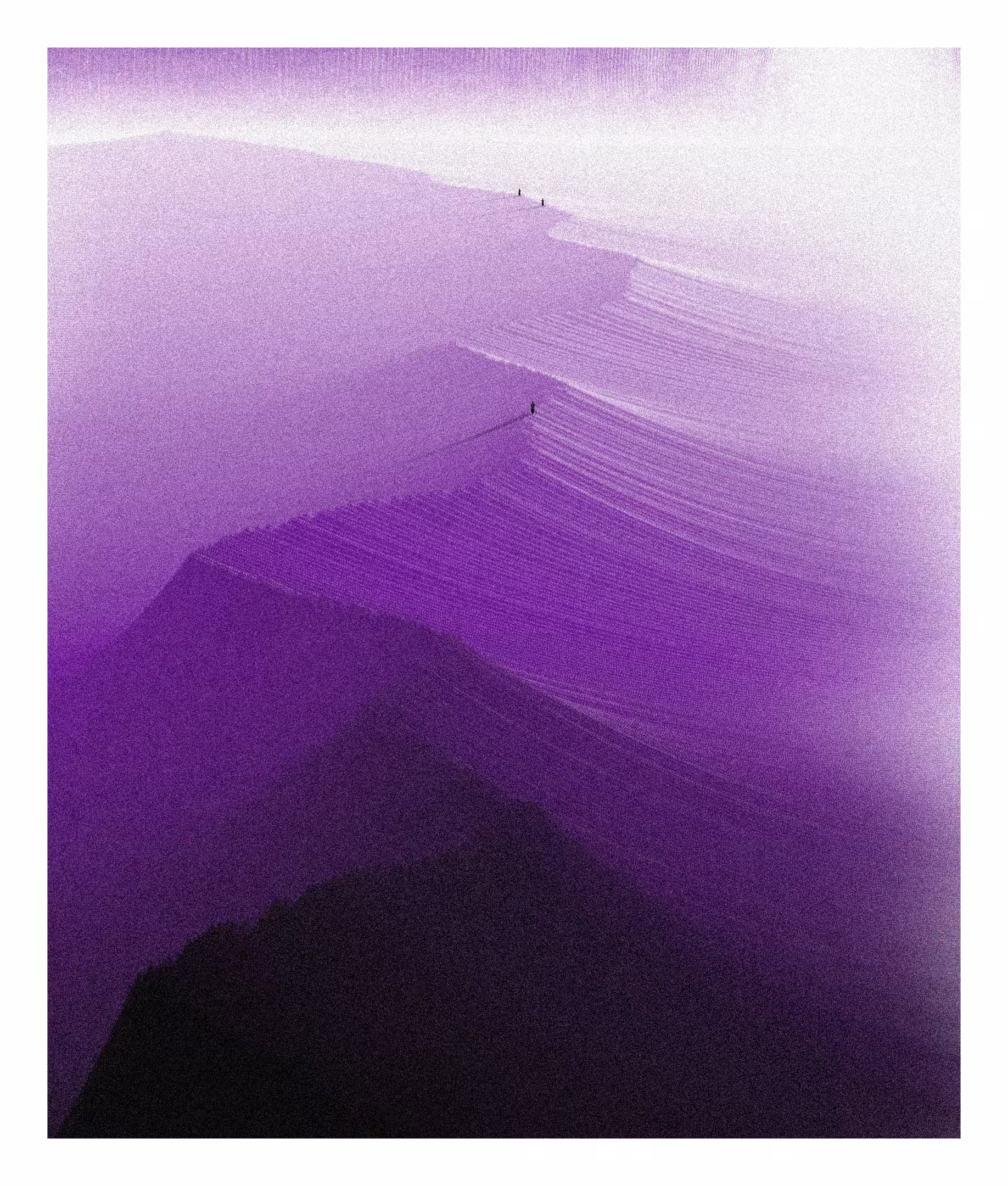 Stride #72