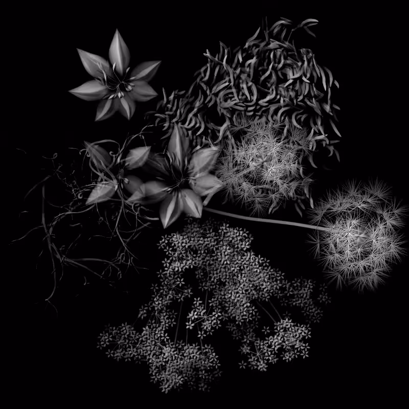 Botanical Ghosts #306
