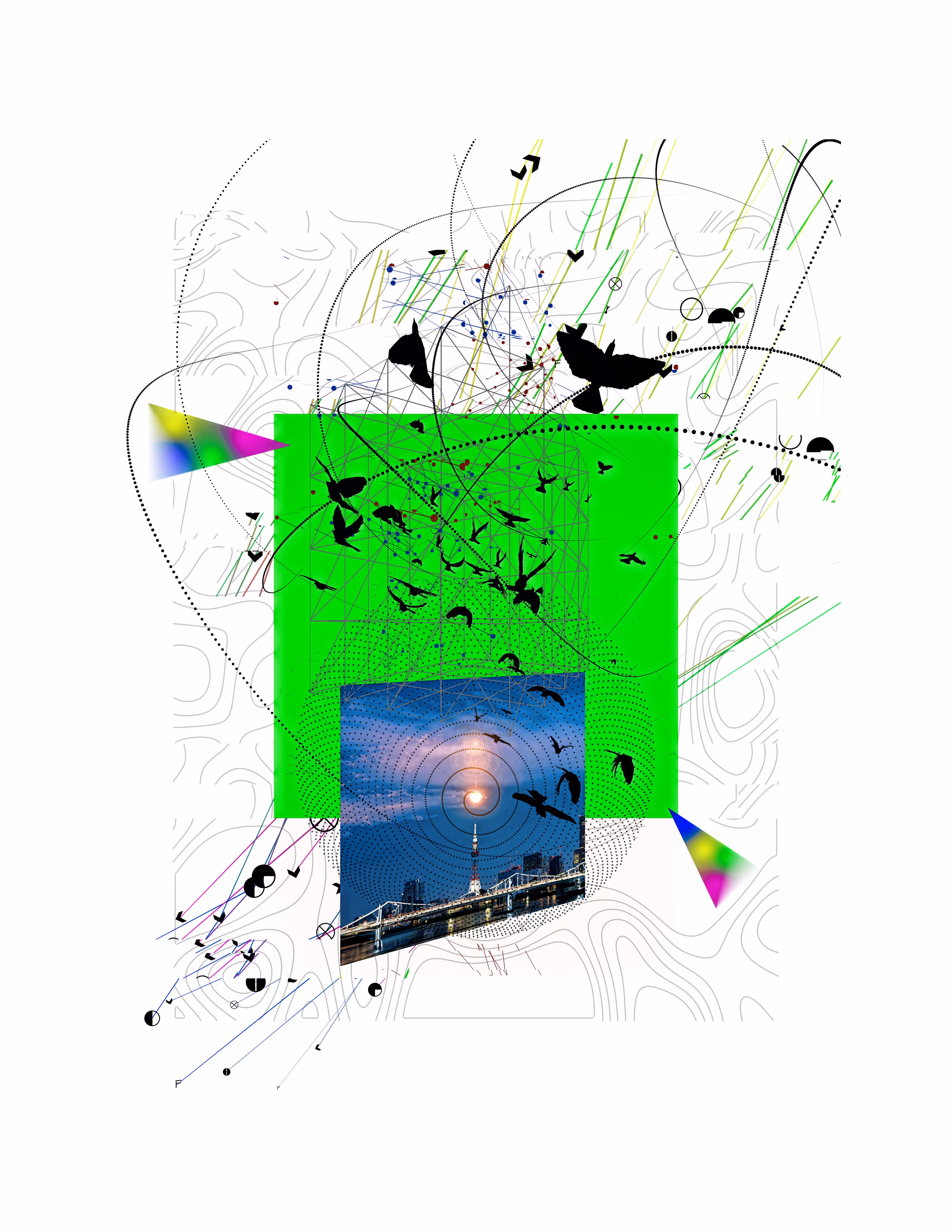 Wind Flags D