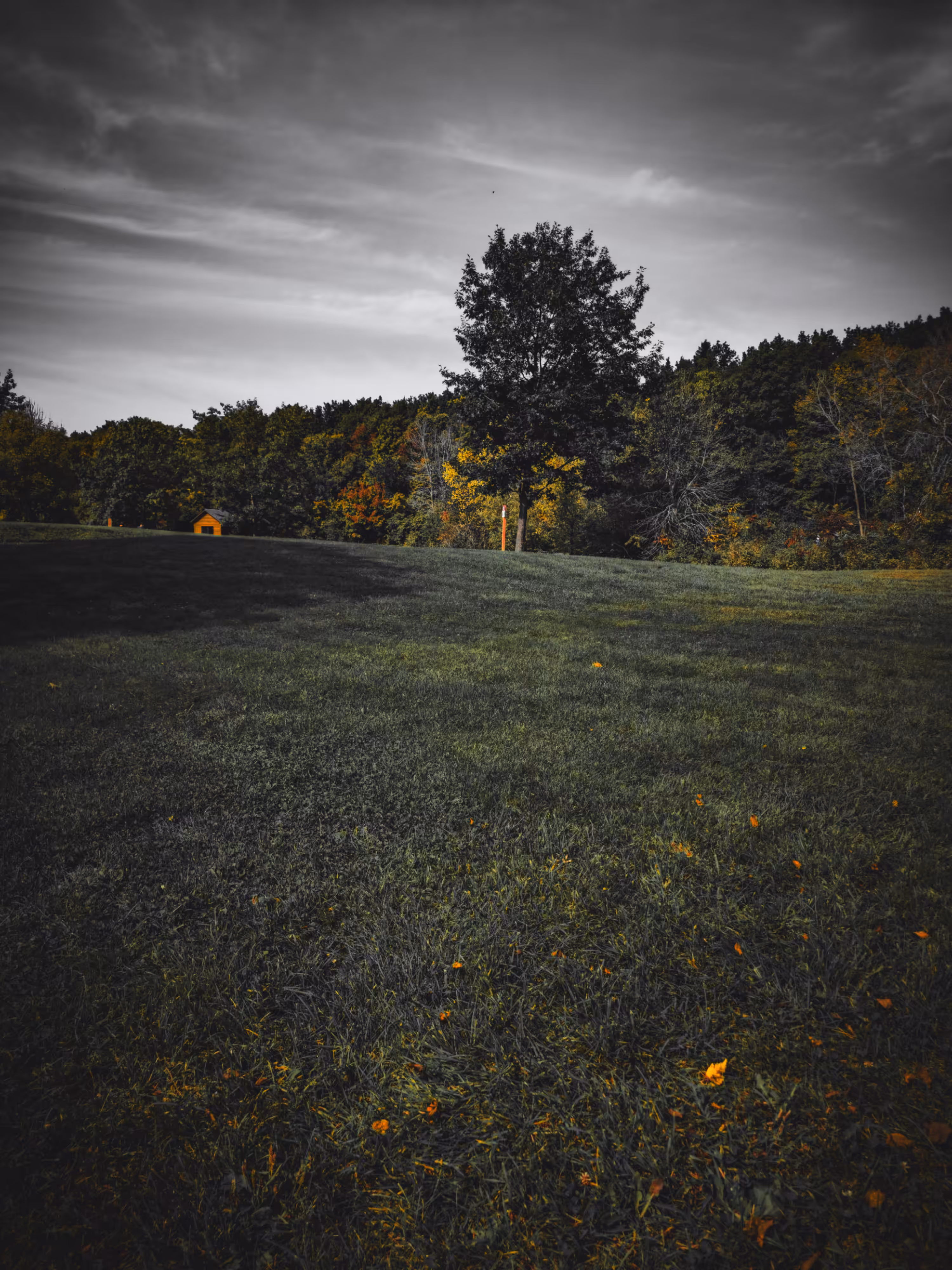 The Little House on The Hill #01