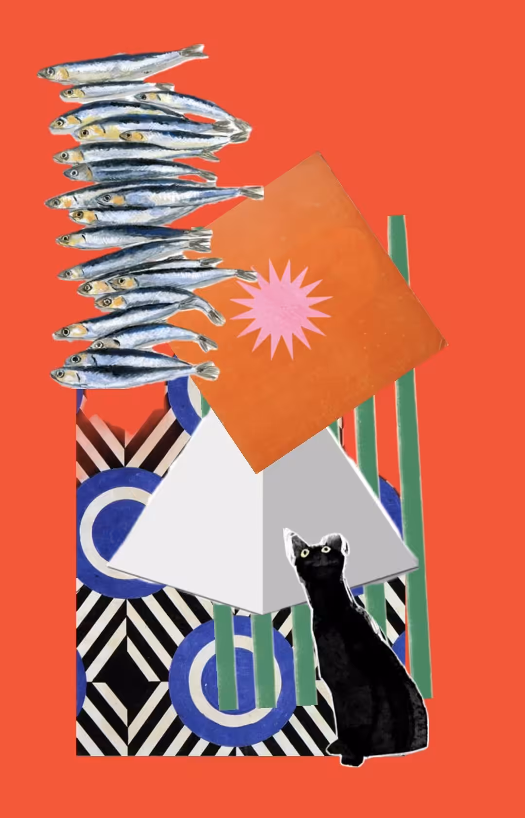 Collage Cat
