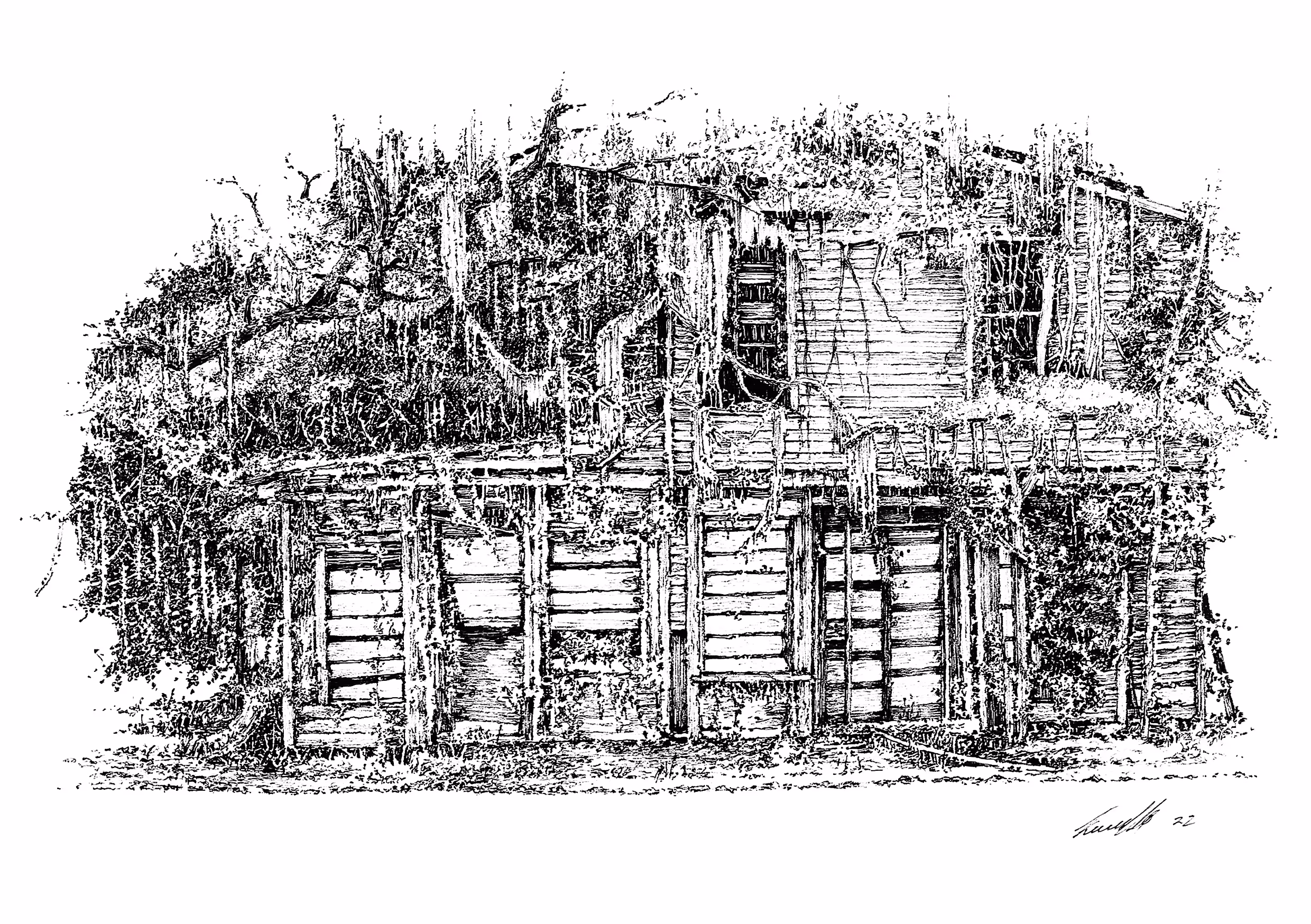 Overgrown house #4