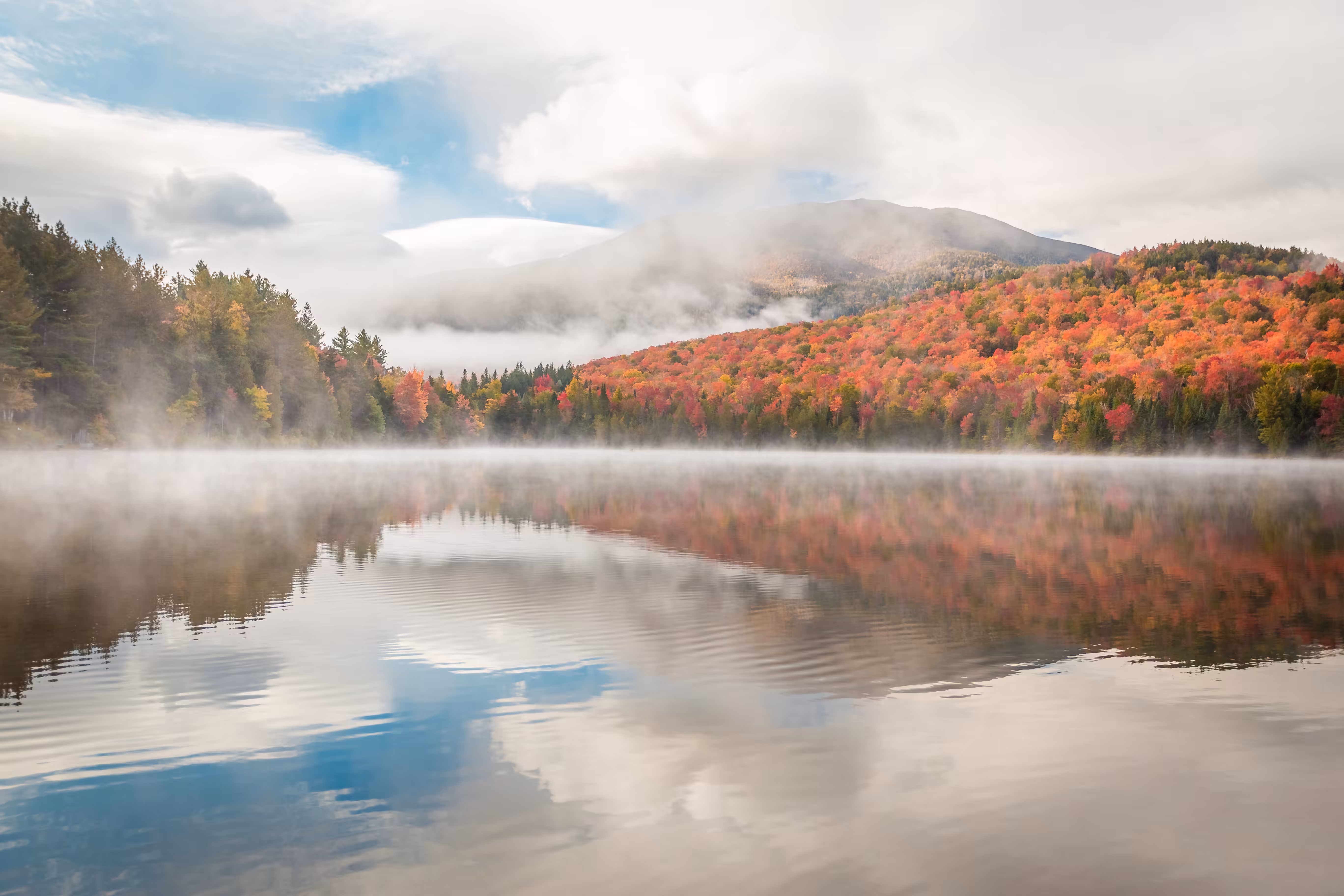 Autumn's Splendor