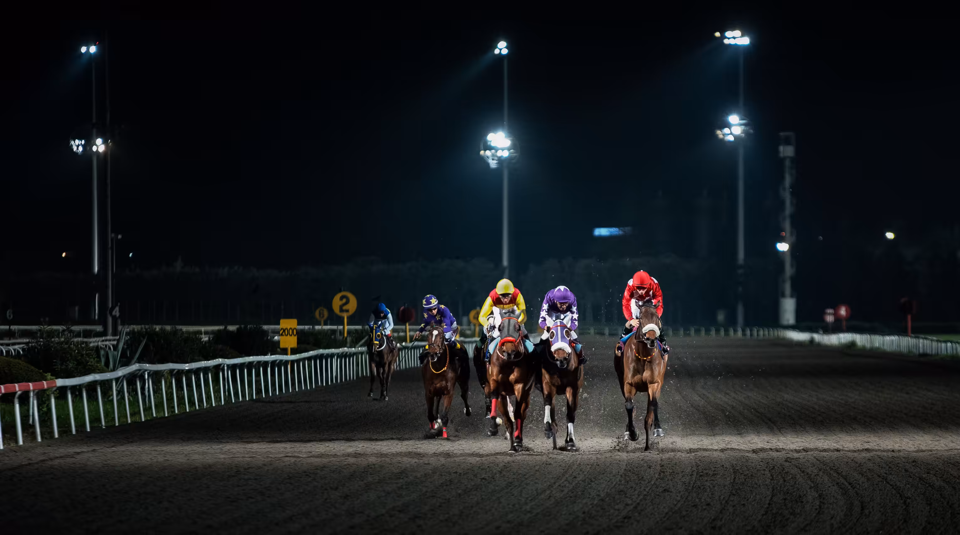 Rodeo posts: Night Riders...