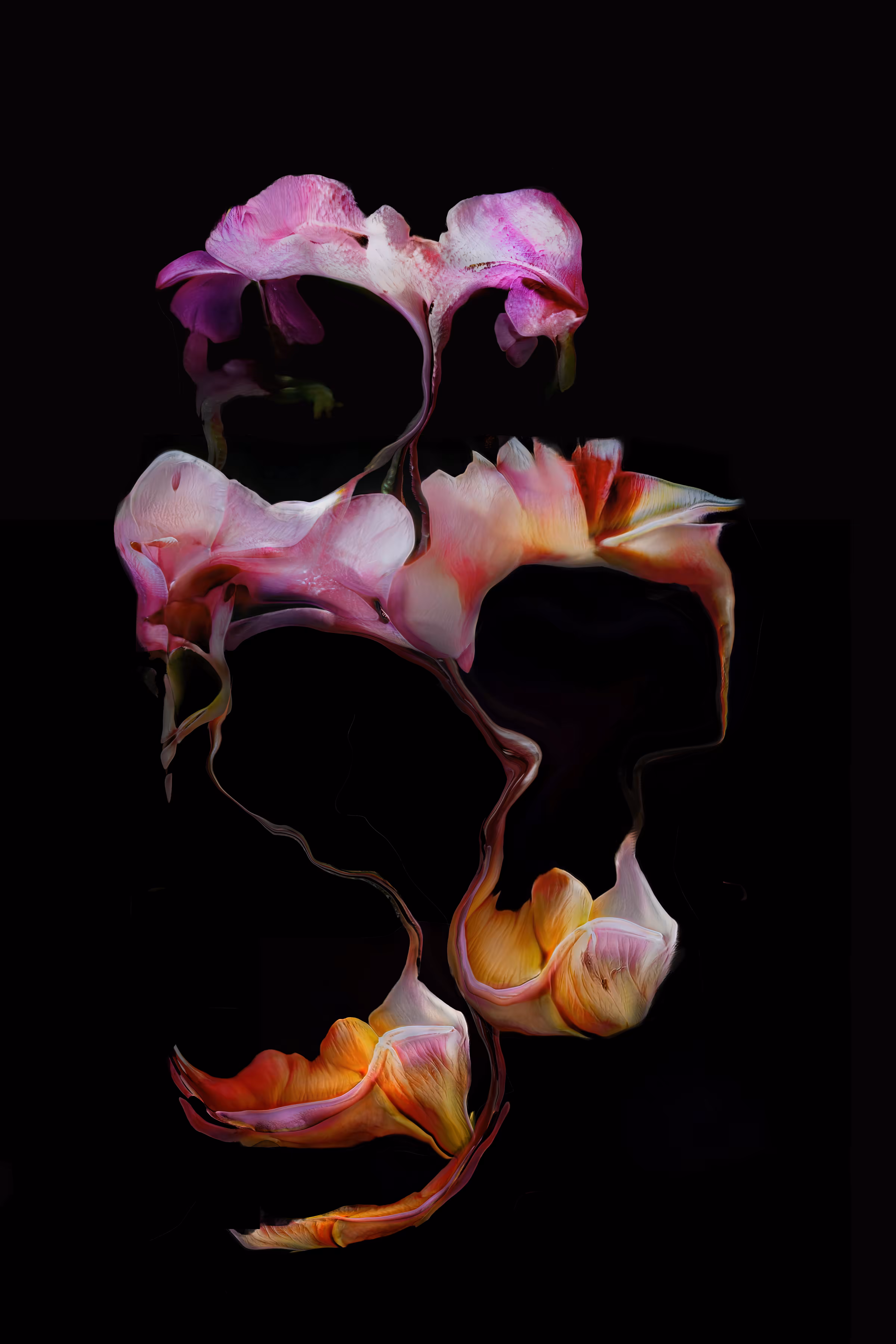 Distillation of desires and purposes