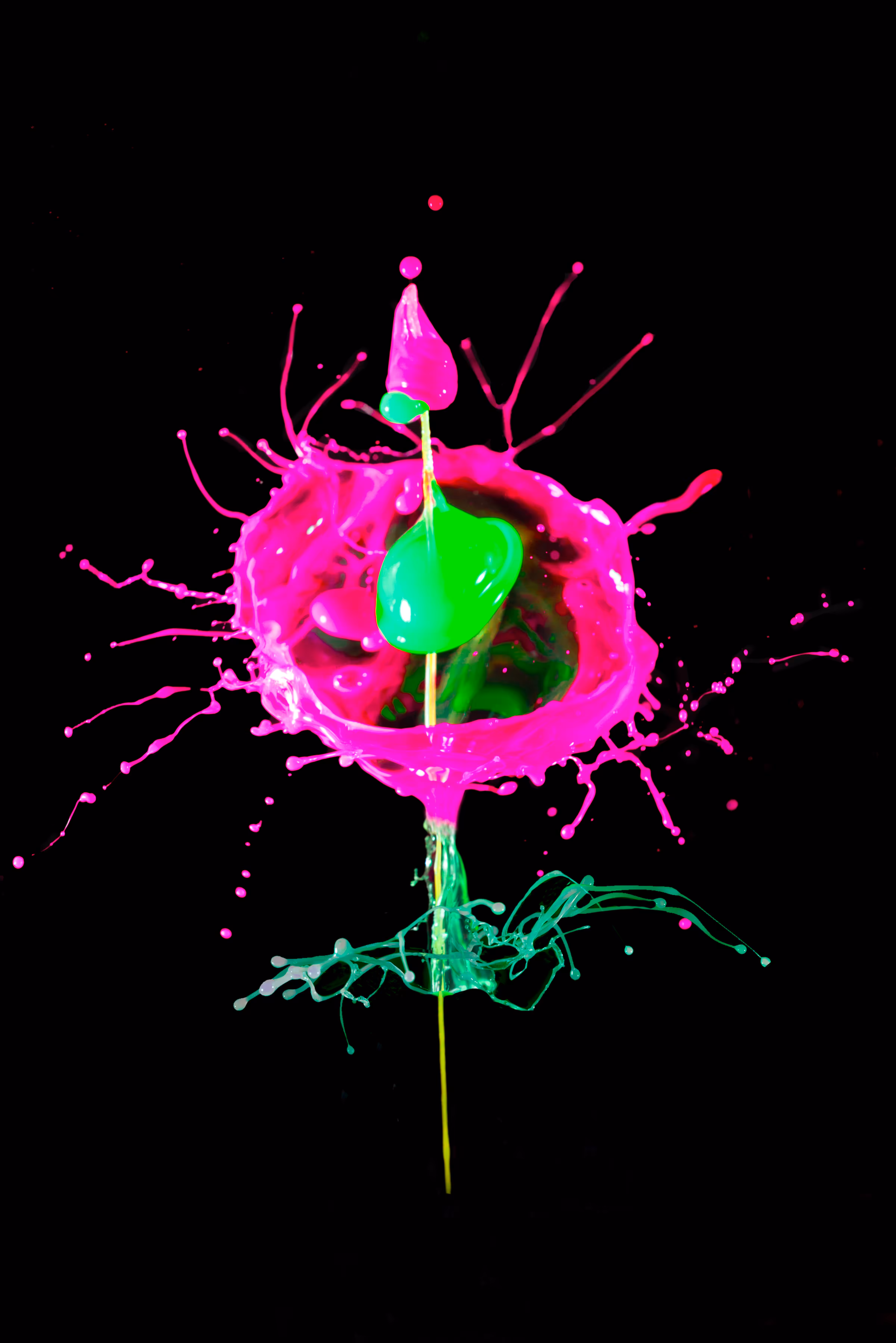 'NEON Botanical' by Little Art Photag