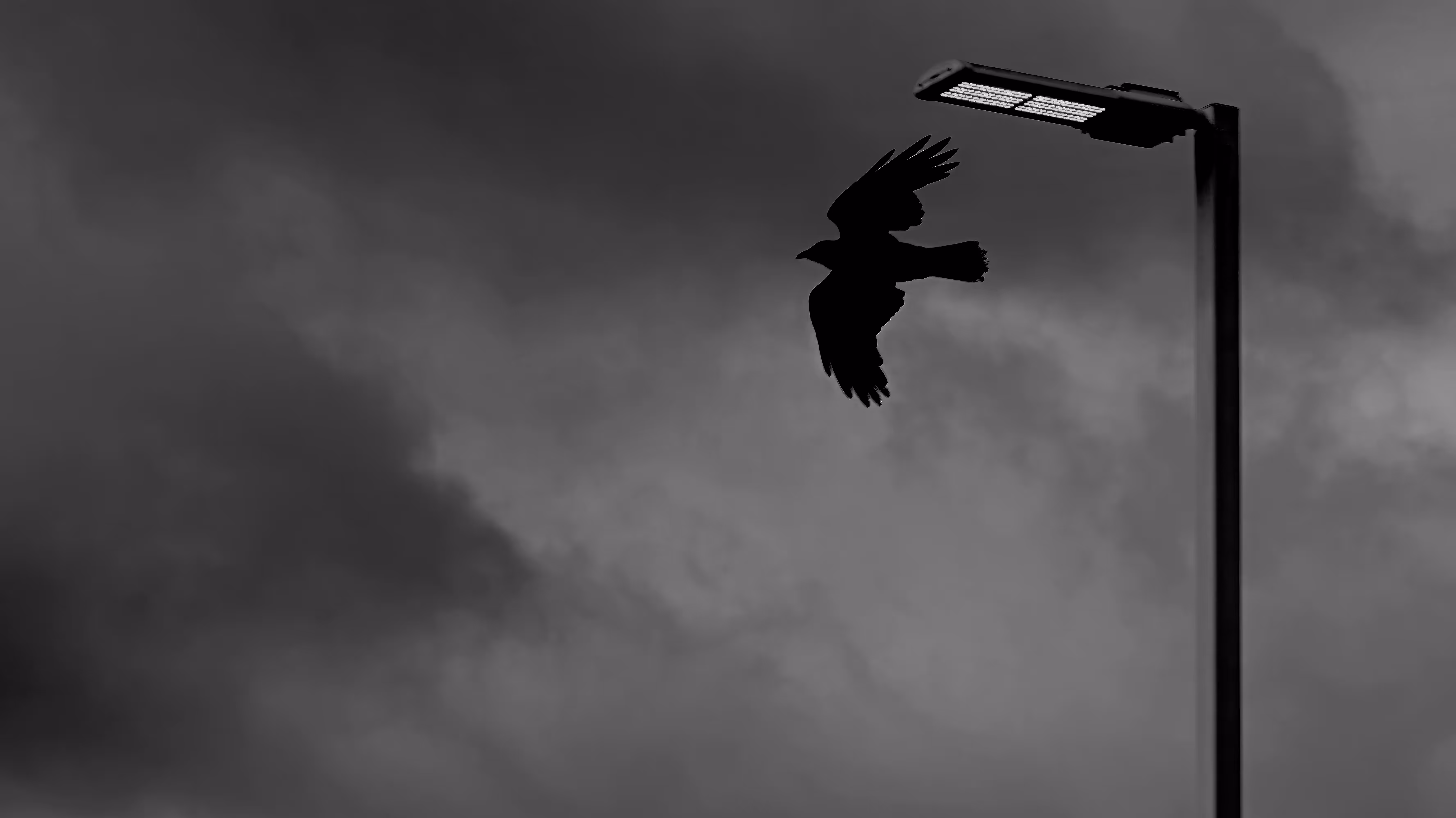 Dark Silhouette
