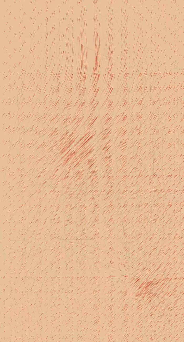 Arraigos, estudios 1 #10