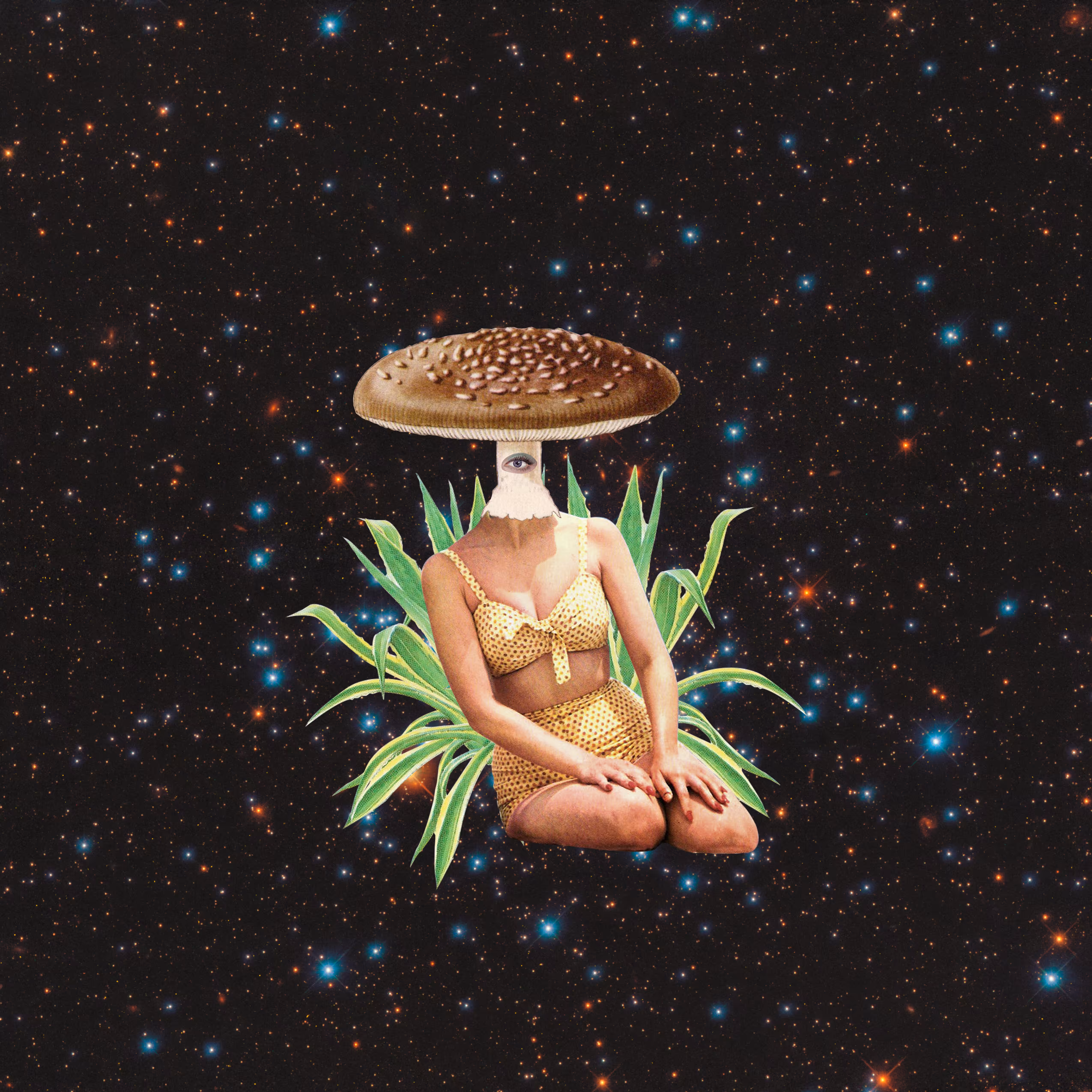 Micro-dose  3