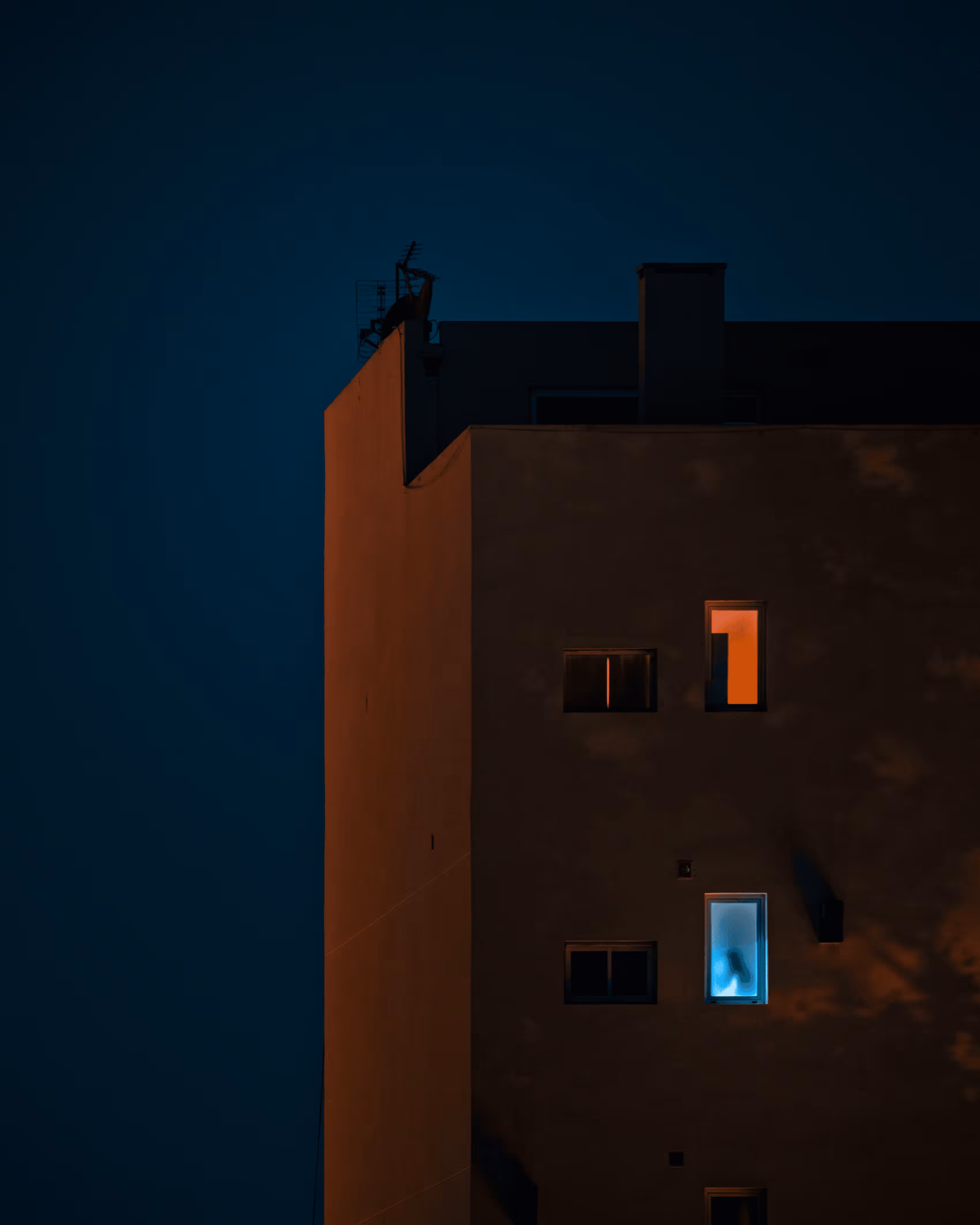 Secret Windows #29