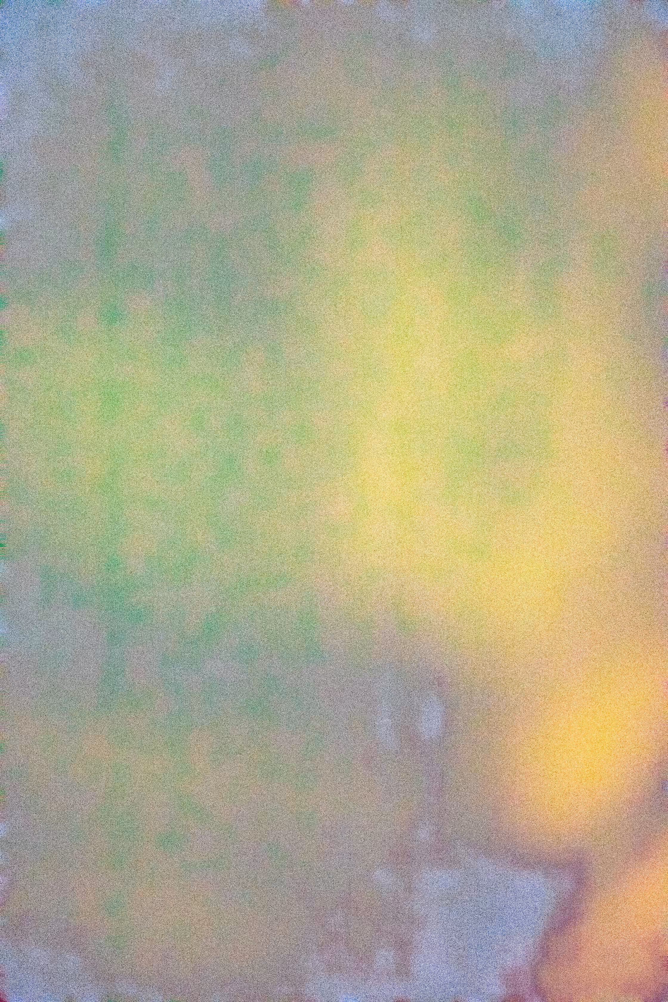 SALT 81