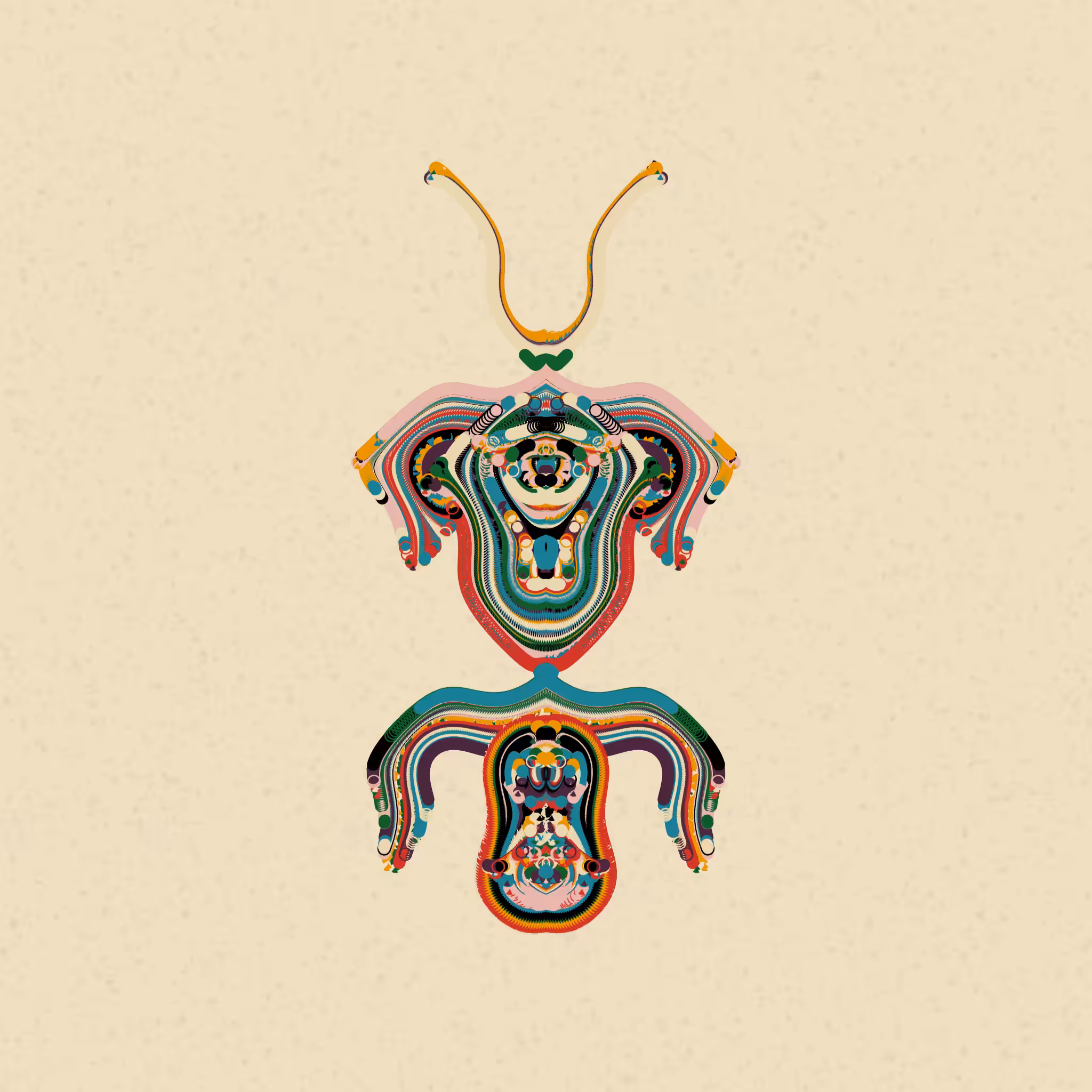 Morphology: Queen Mantis