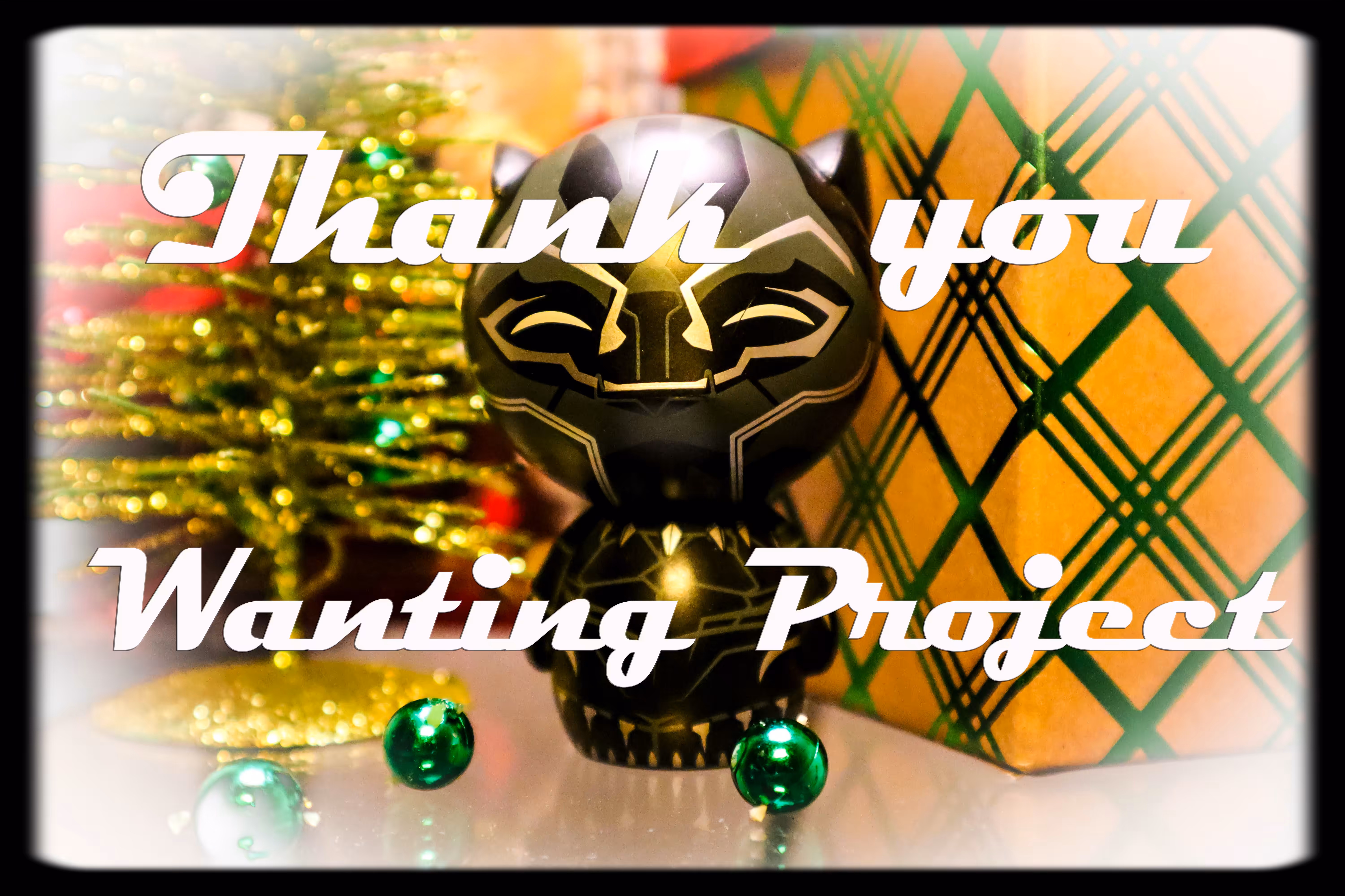 Thank You Wanting Project