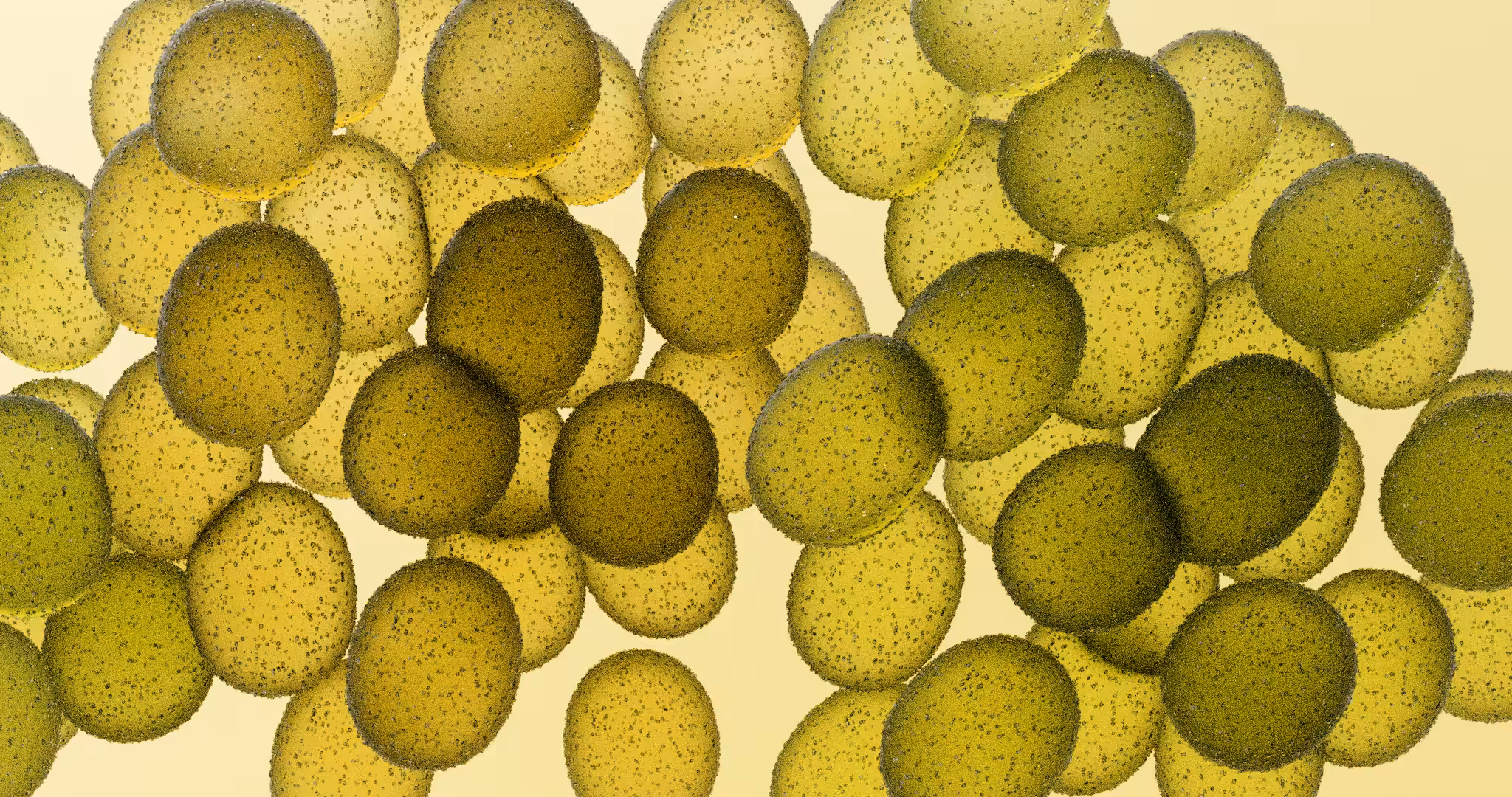 Grape pop study: Chardonnay