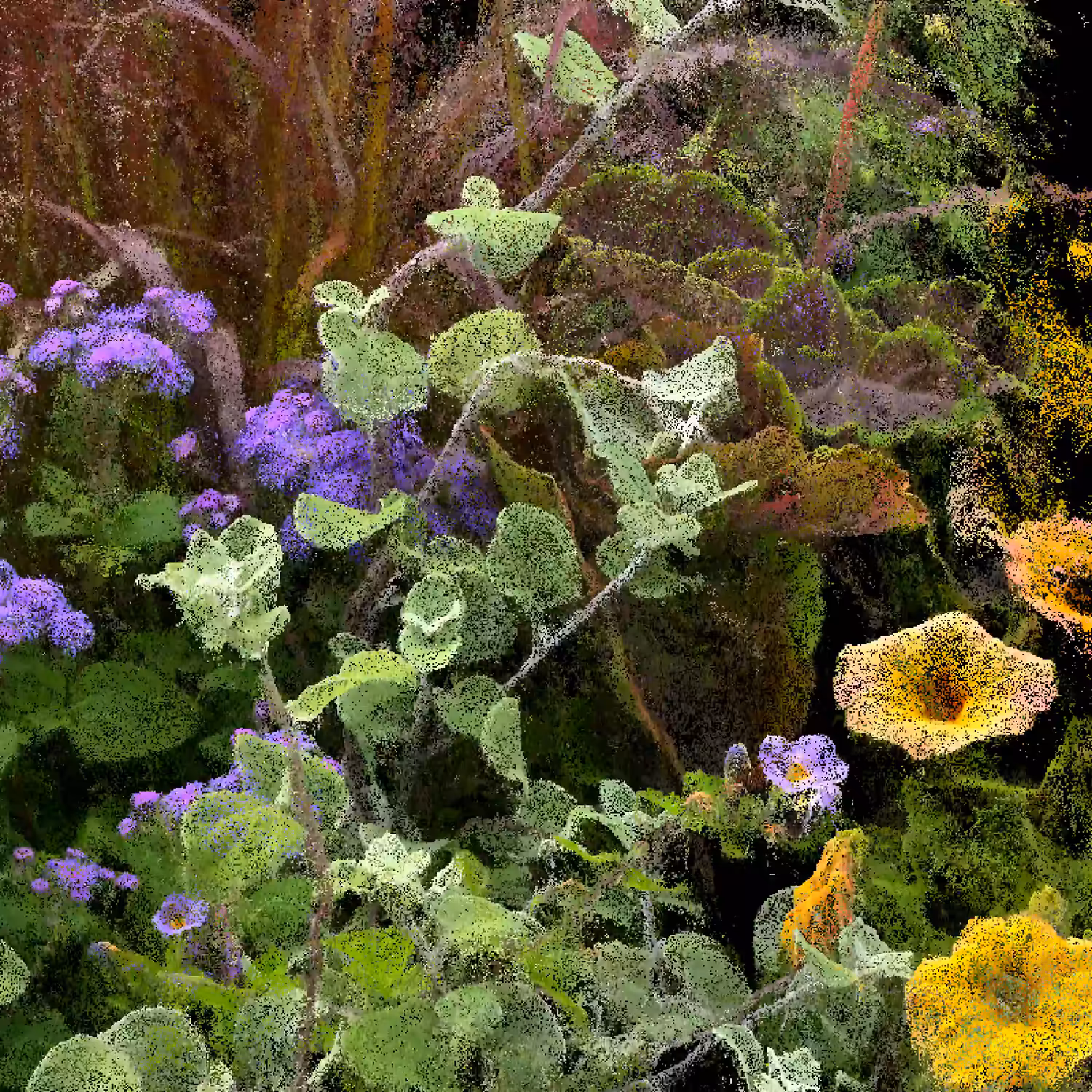 Flossflower and Petunias [NFT version]