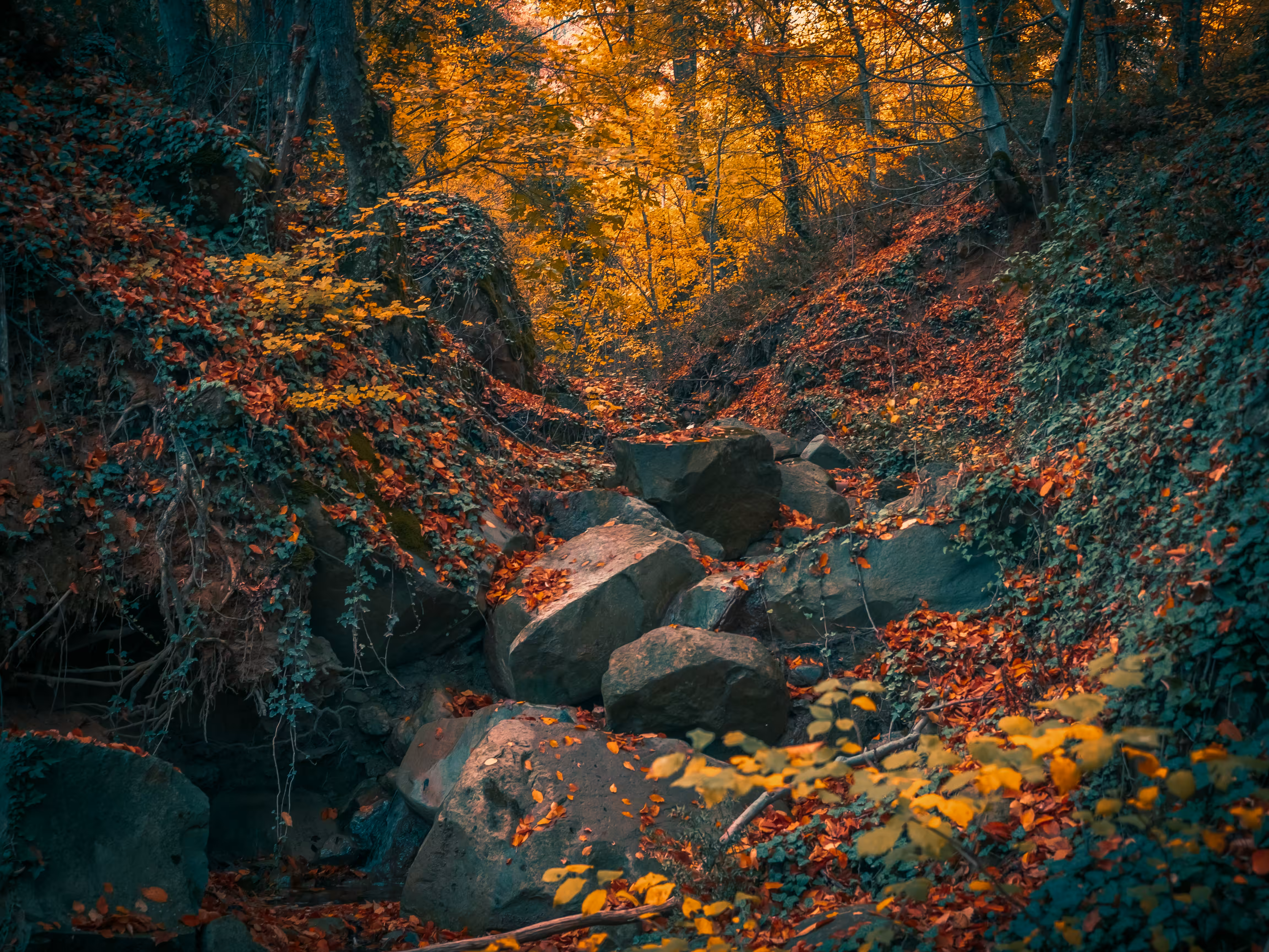 Autumn colors.