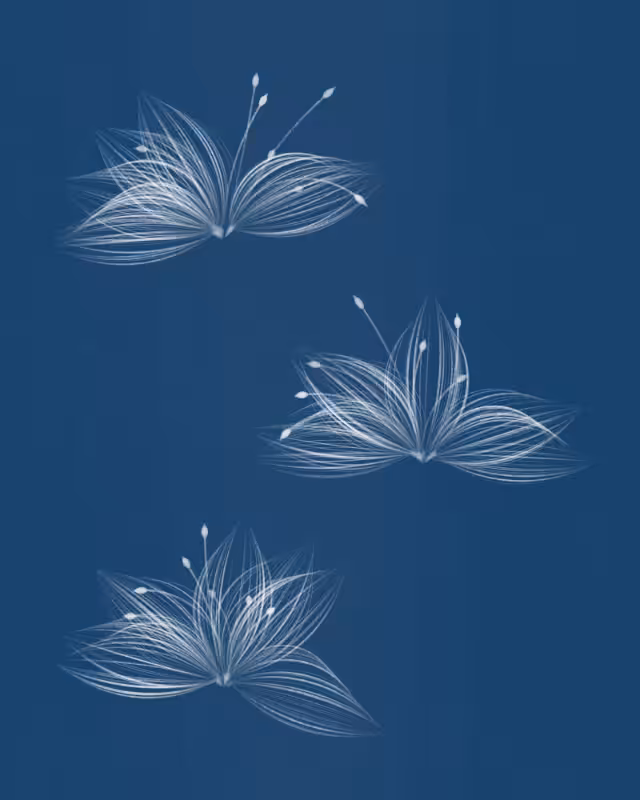 Cyanotypes #193