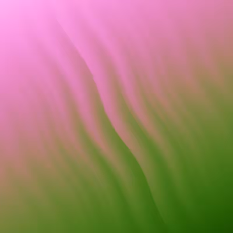 Sand waves #92
