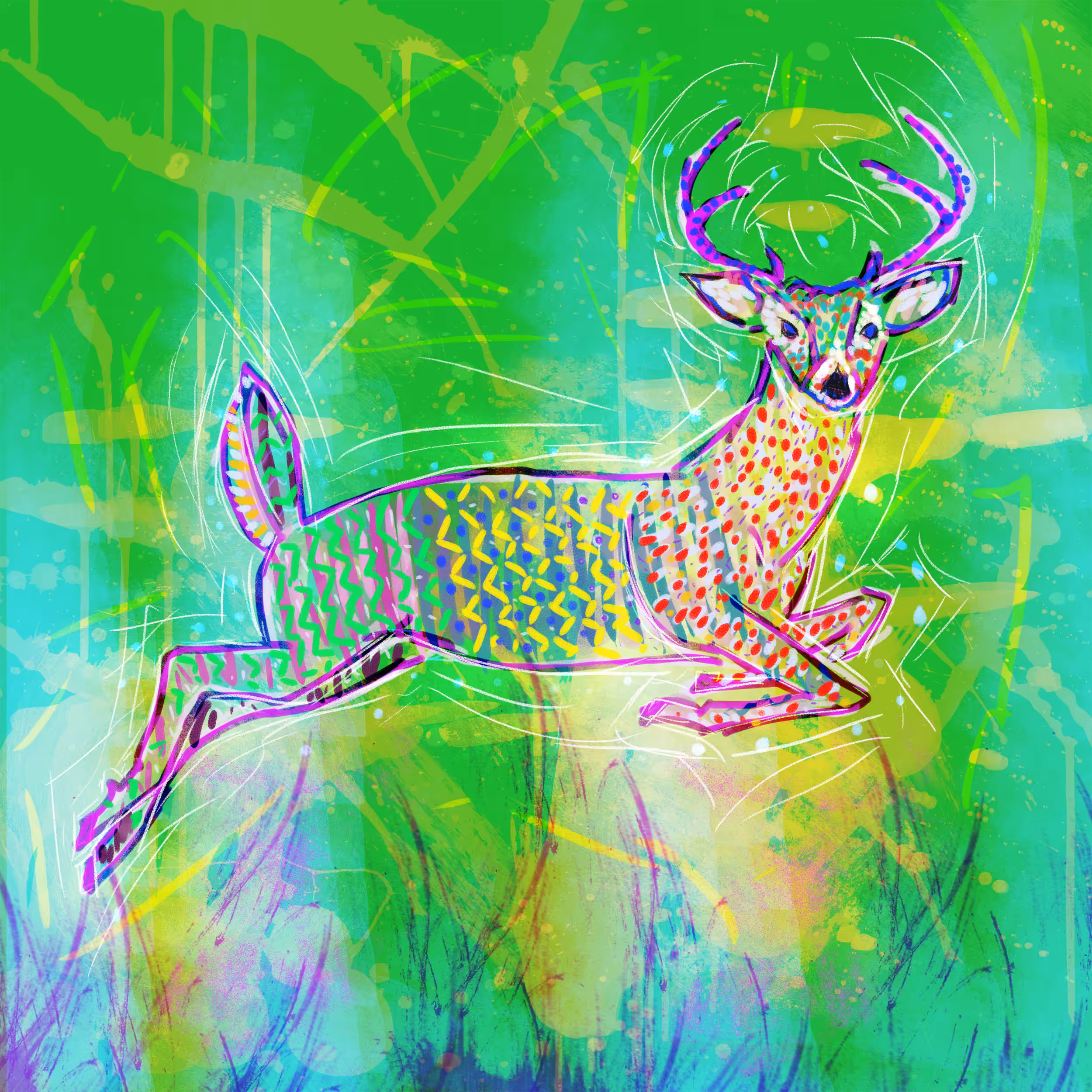 Venado bura