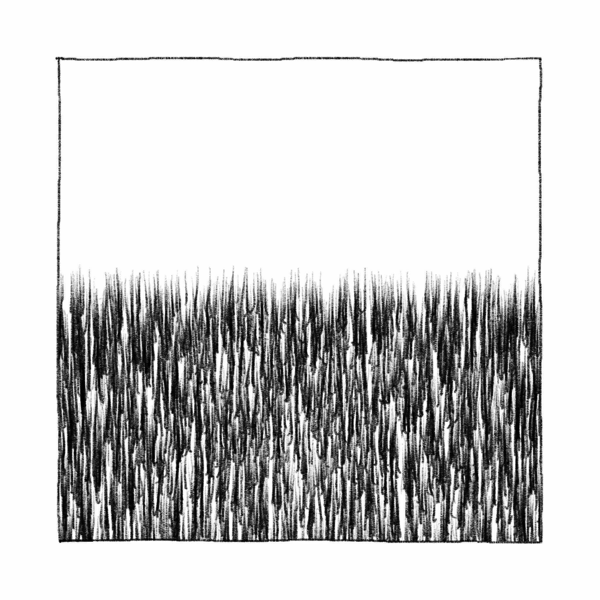 dessin quotidien: barbe