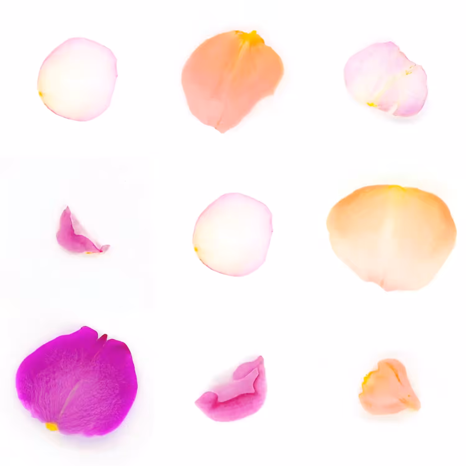 Infinite Petals 3x3#303