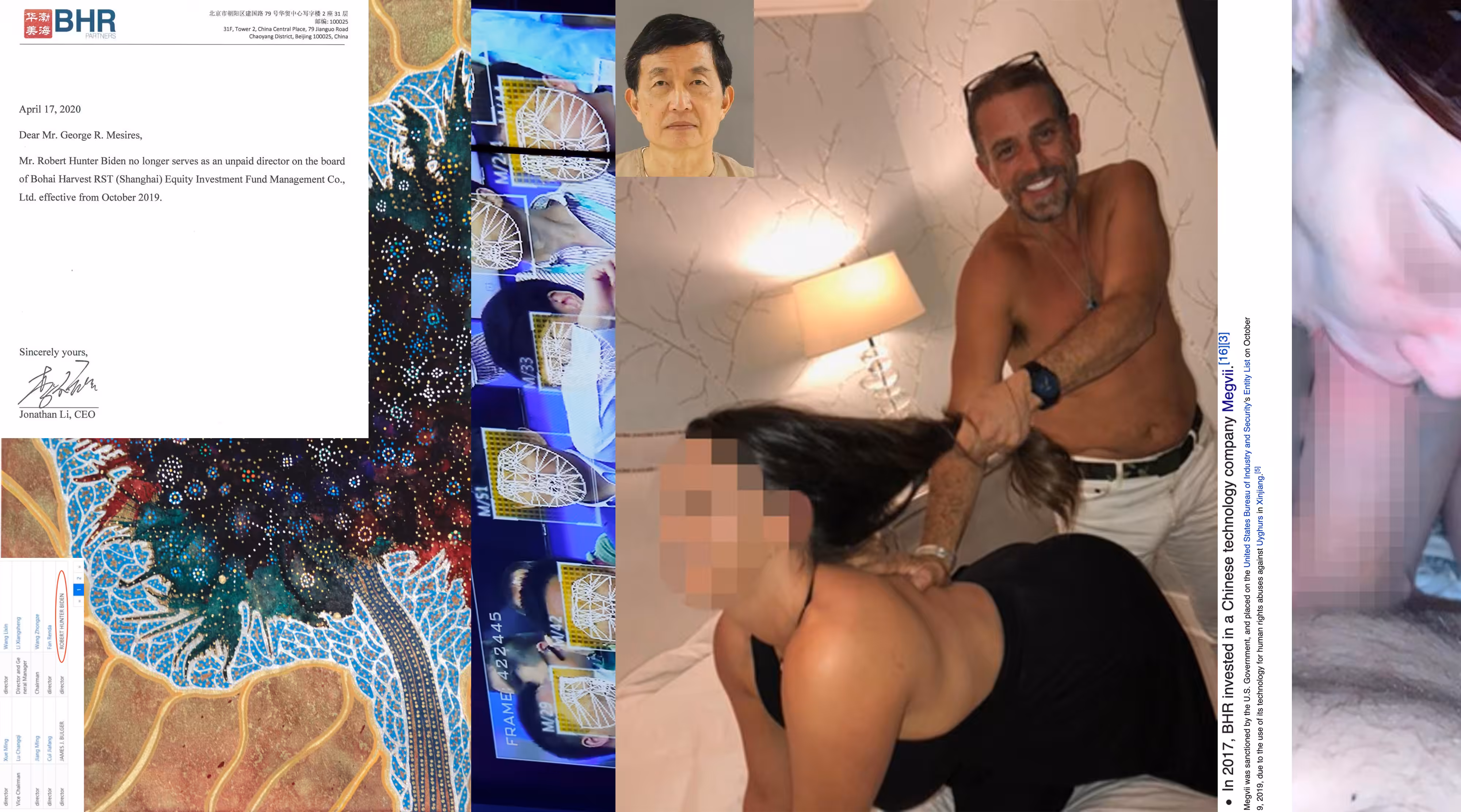Hunter Biden Art – Hair Pull