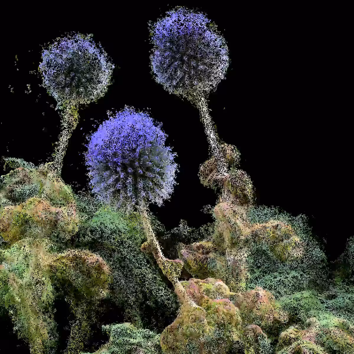 Globe Thistle [NFT version]