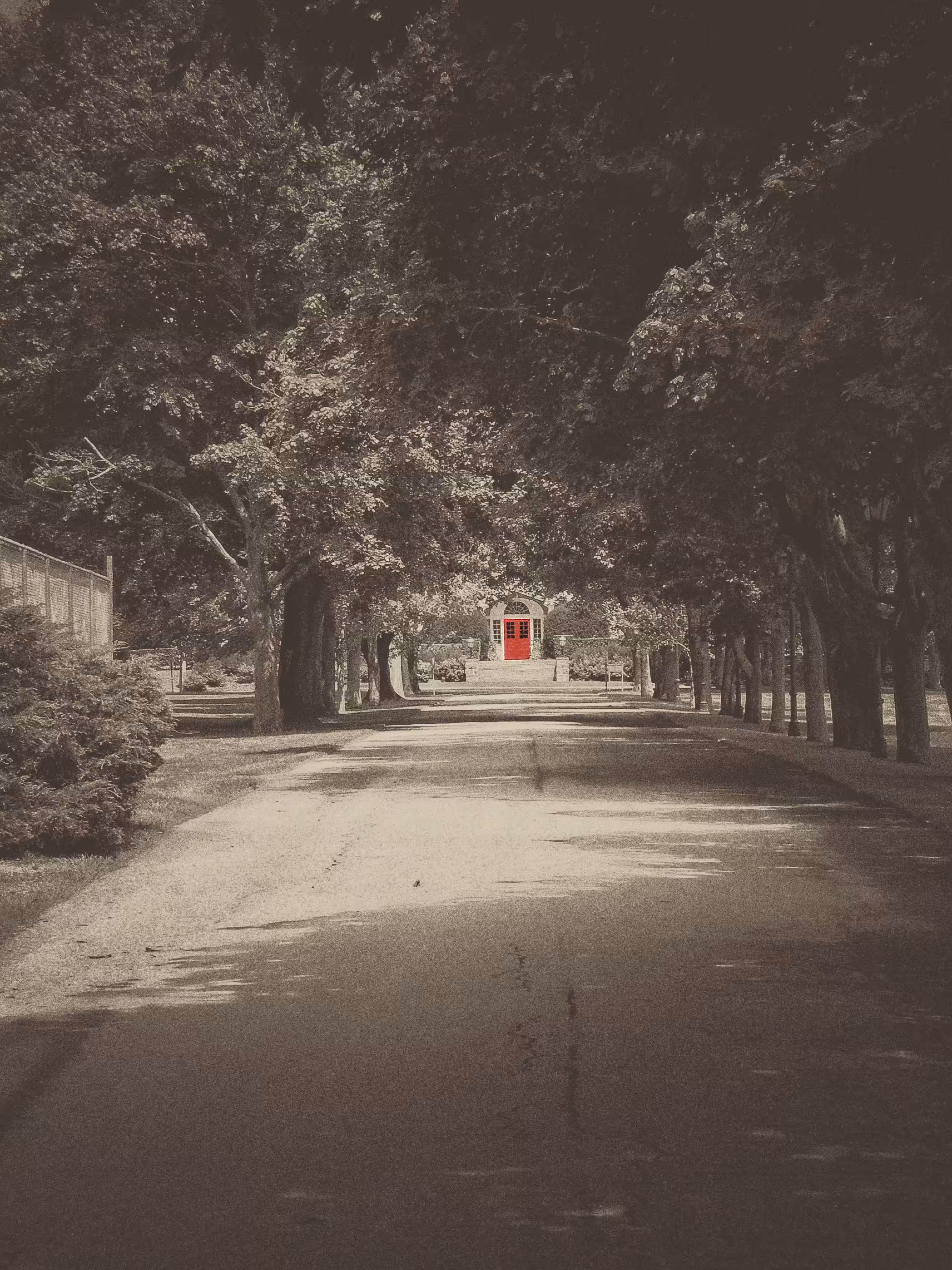 The Red Door