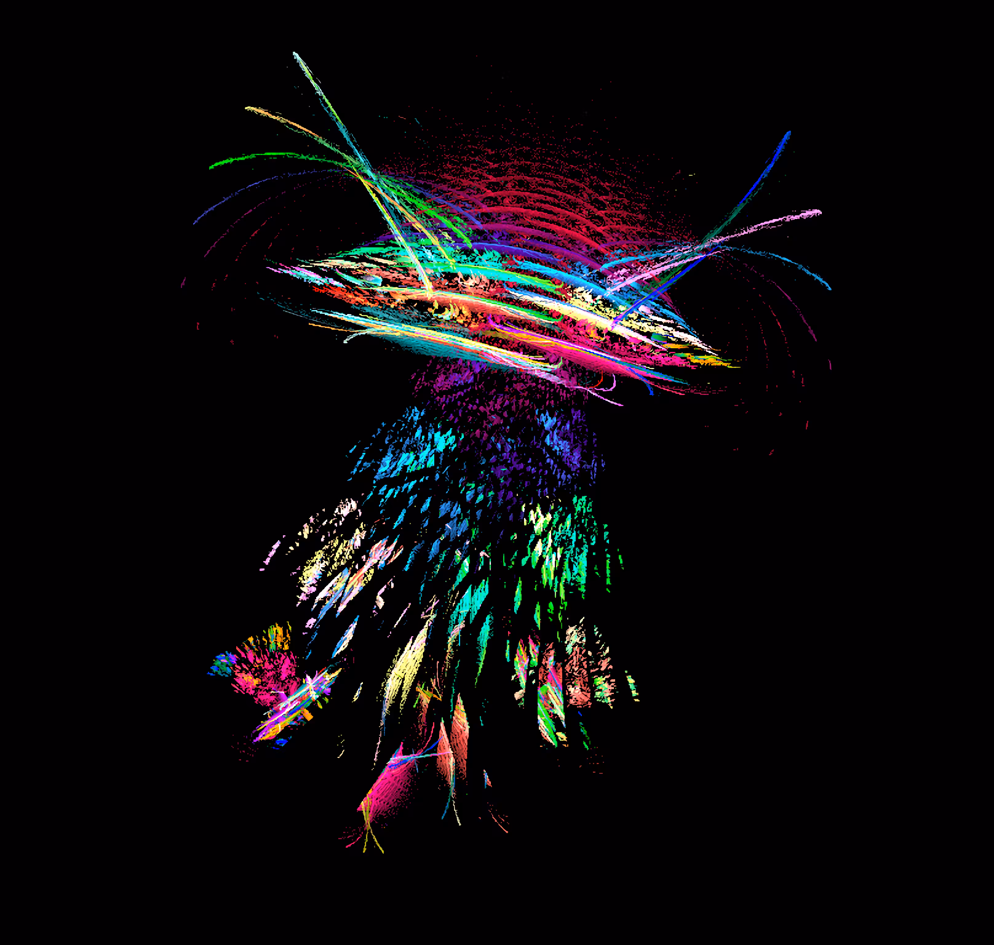 Raw Fractal Series - #036 - Close Encounters