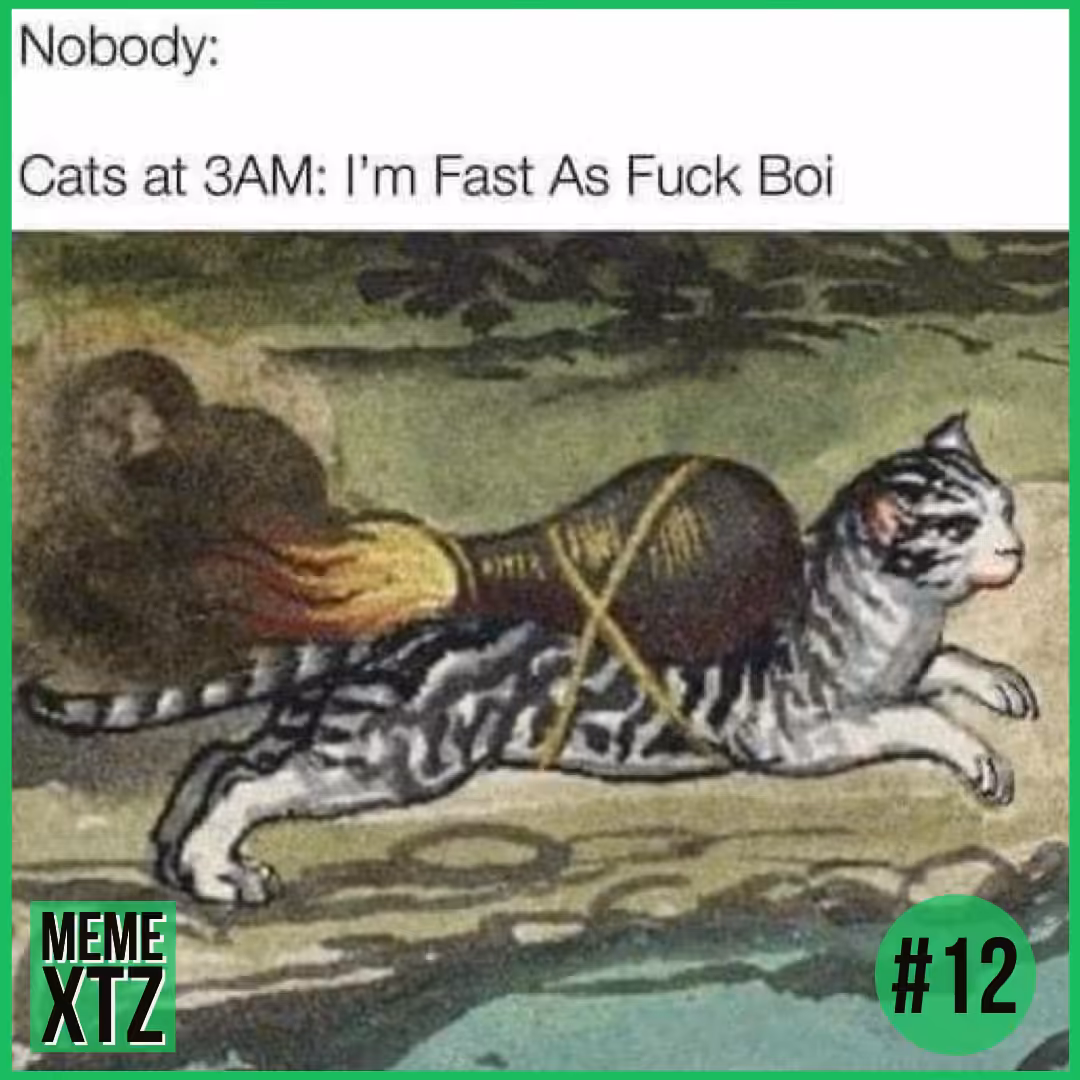 MEME XTZ #12