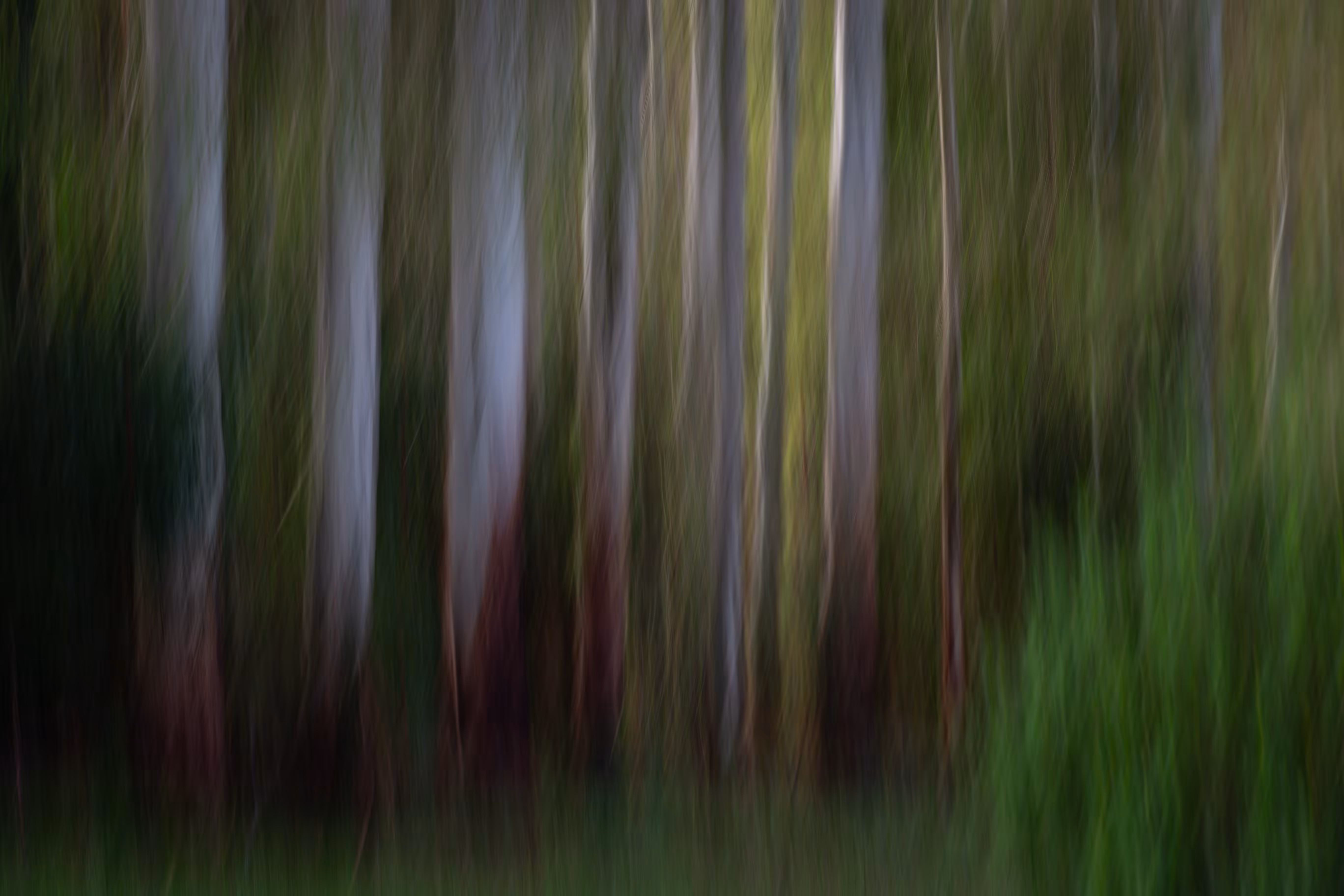 8. August - Break of day