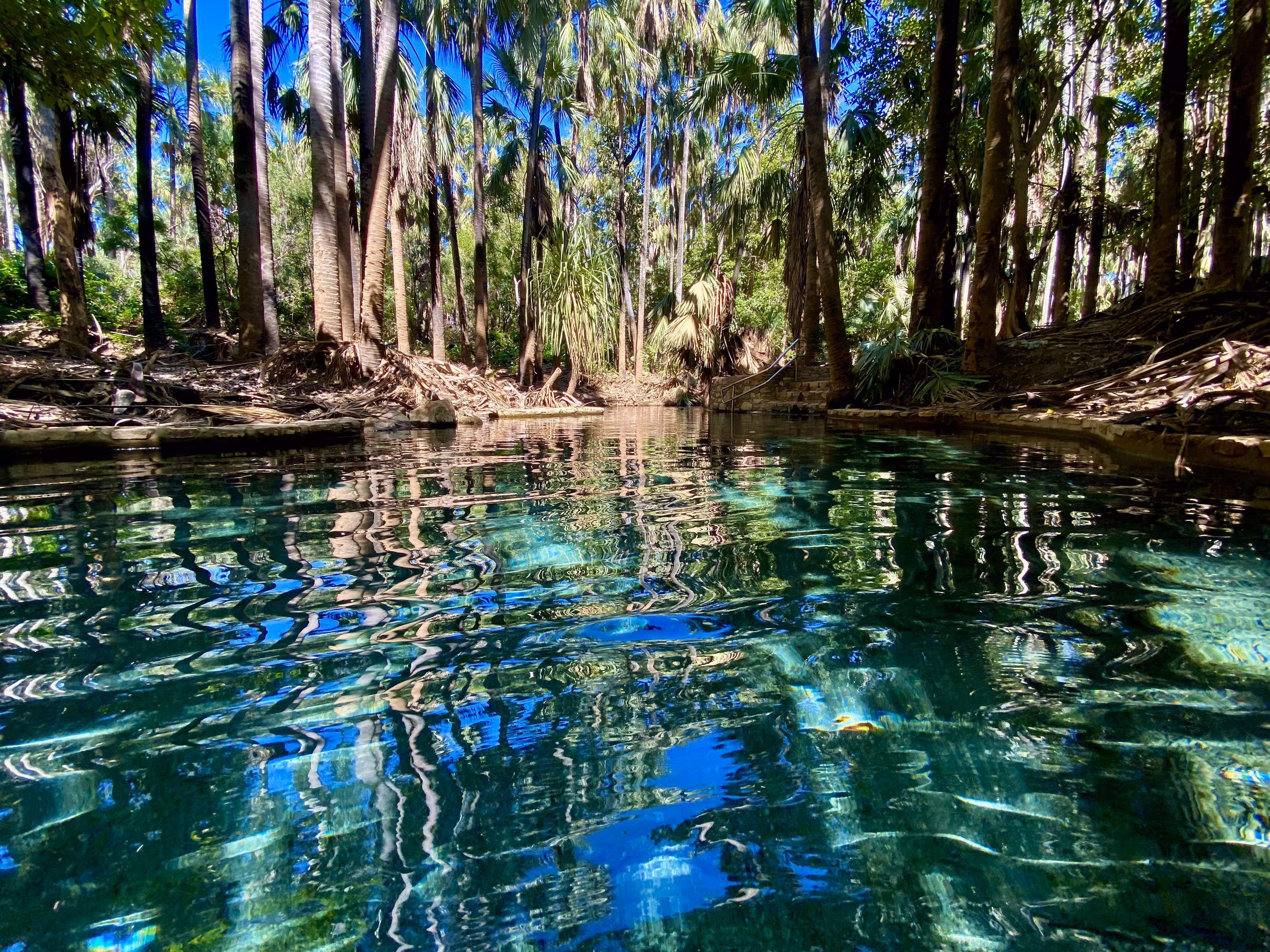 Mataranka Thermal Springs