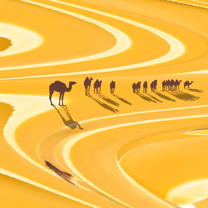 Ships in the desert
