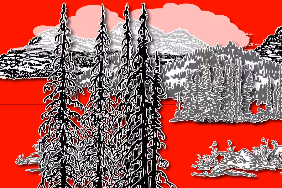 Wild Paper Road #15