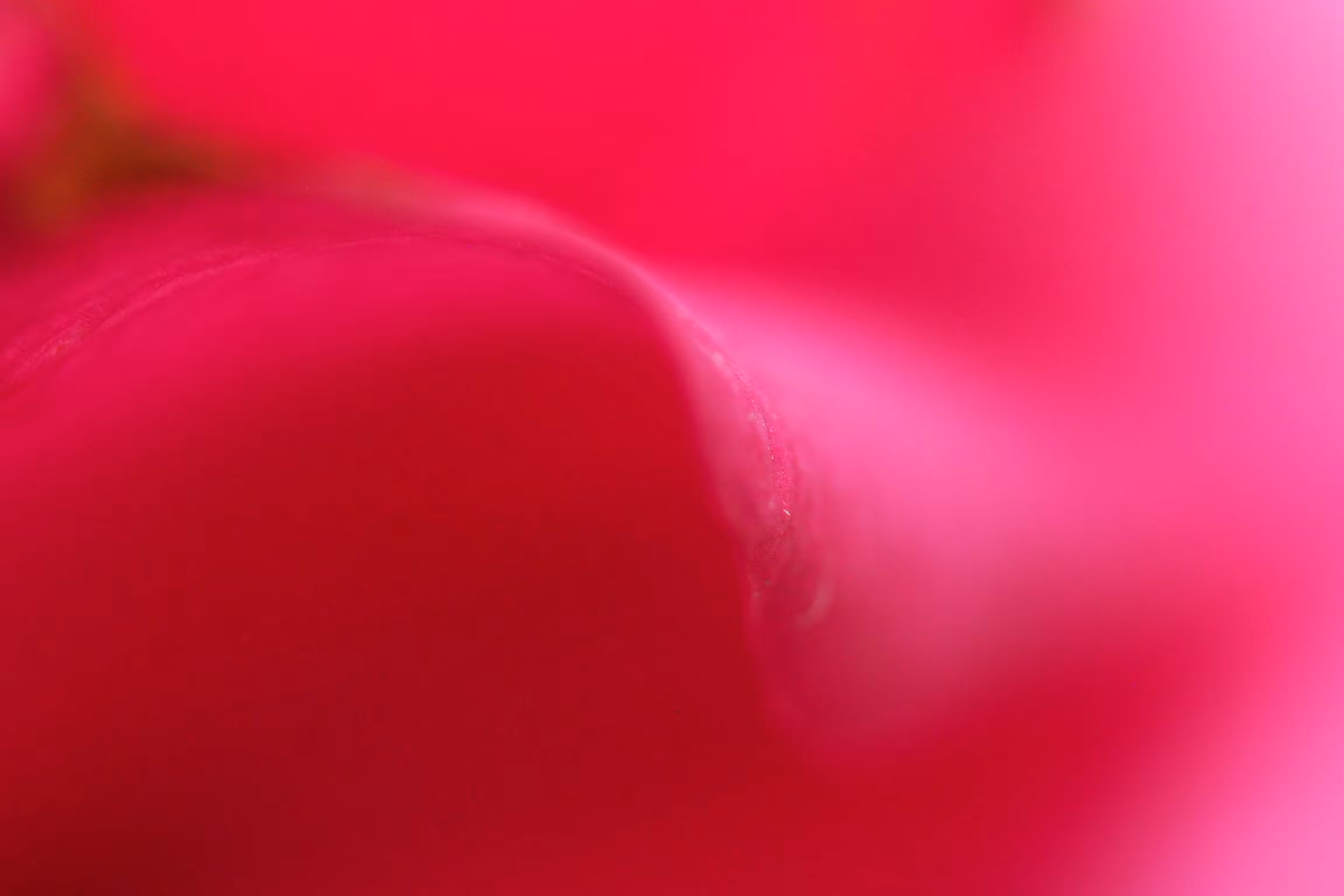 Pink Waves