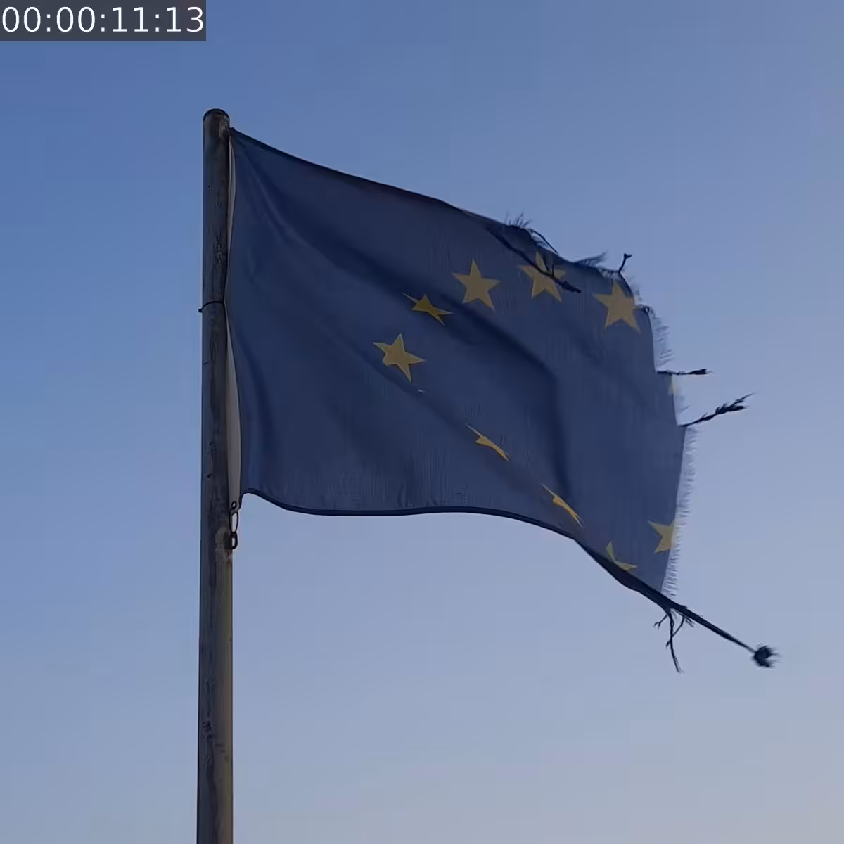 THE EUROPE #311
