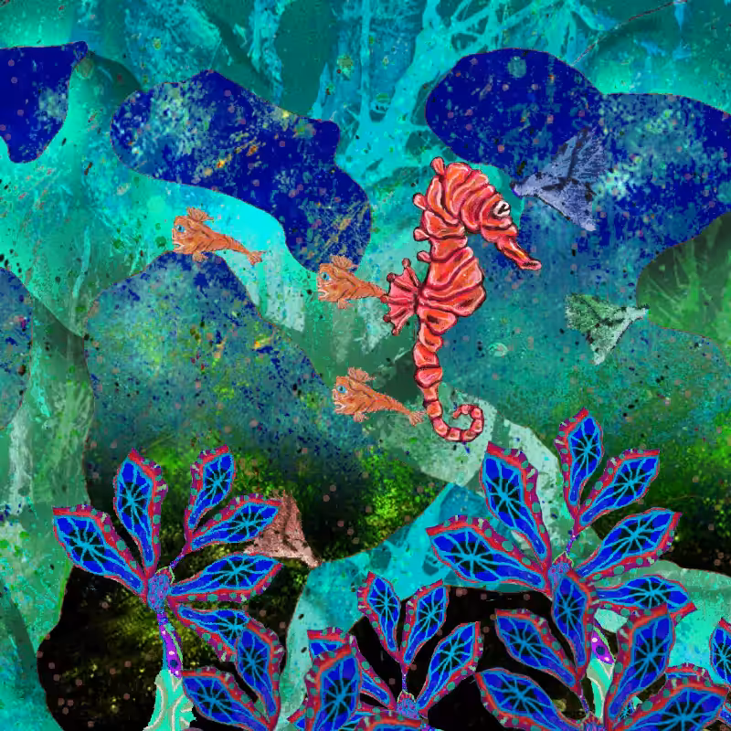 AQUARIUM #50 - THE LUMPY SEAHORSE