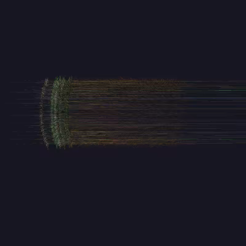 P_CD #11