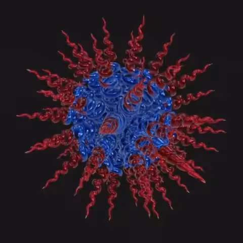 Stellar ORB