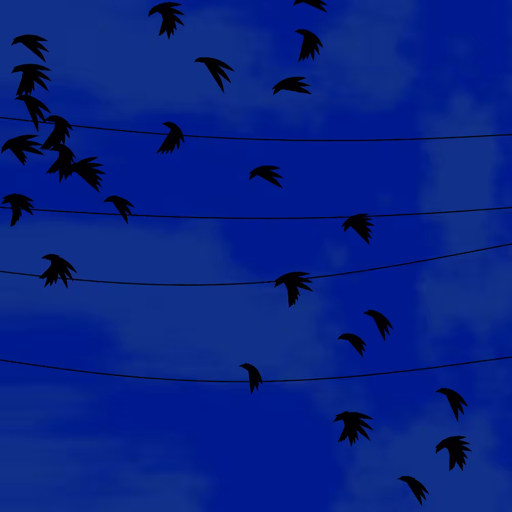 Flock #3