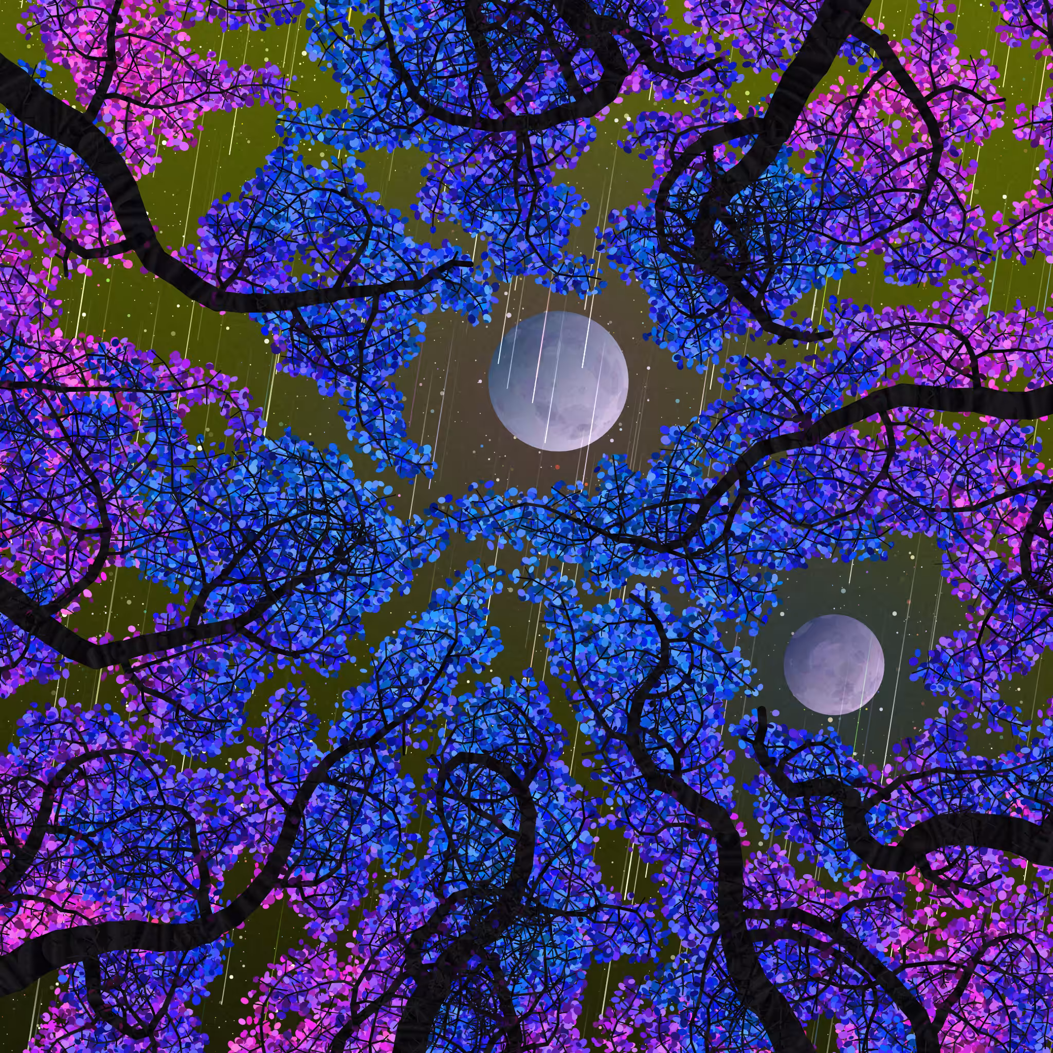 Tree Skyness #204