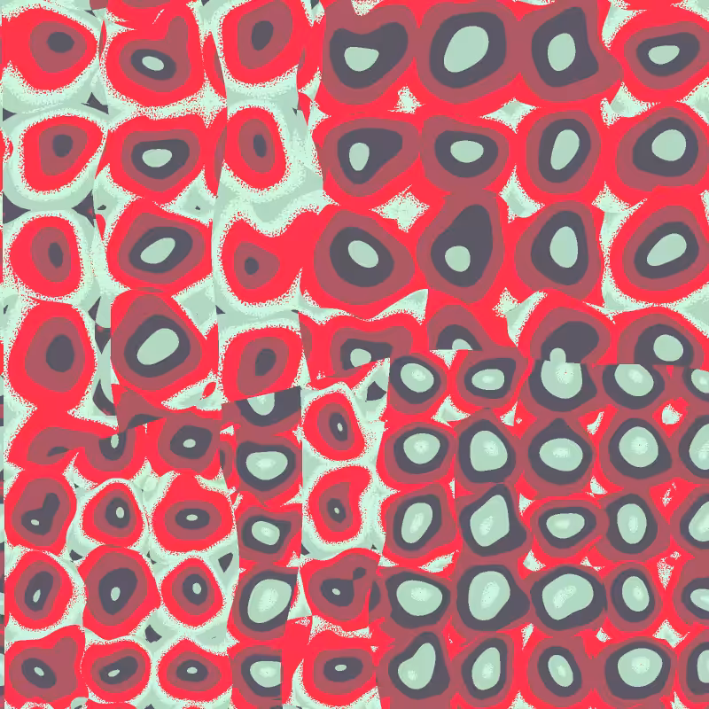 Cellulae #36