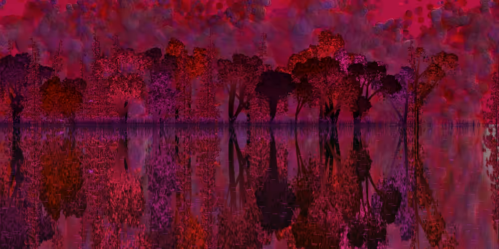 The Pond #14