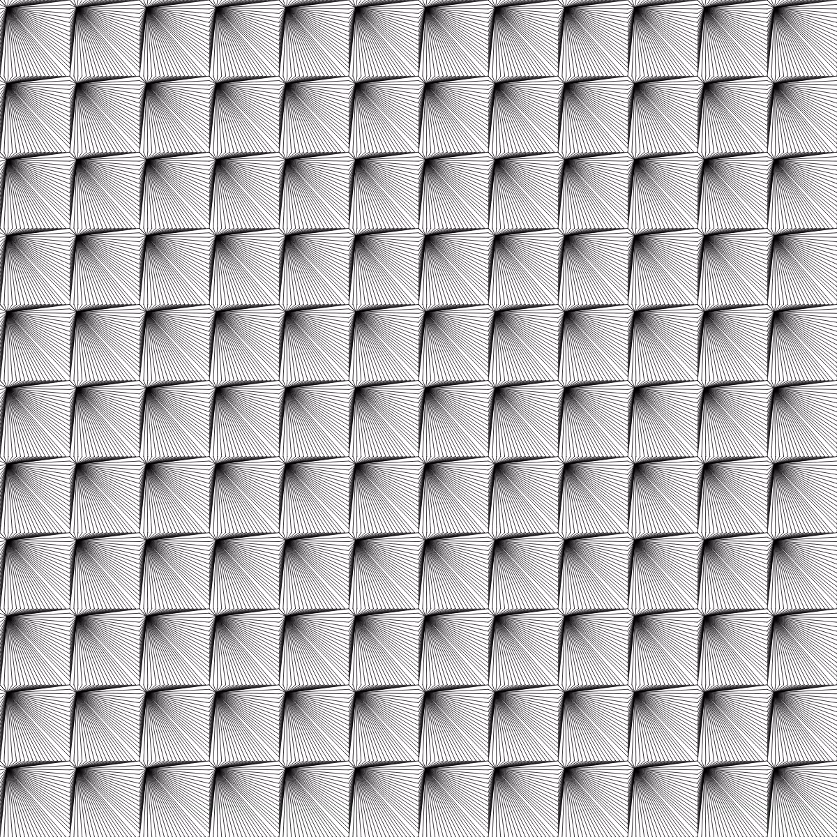 Noir et Blanc #124