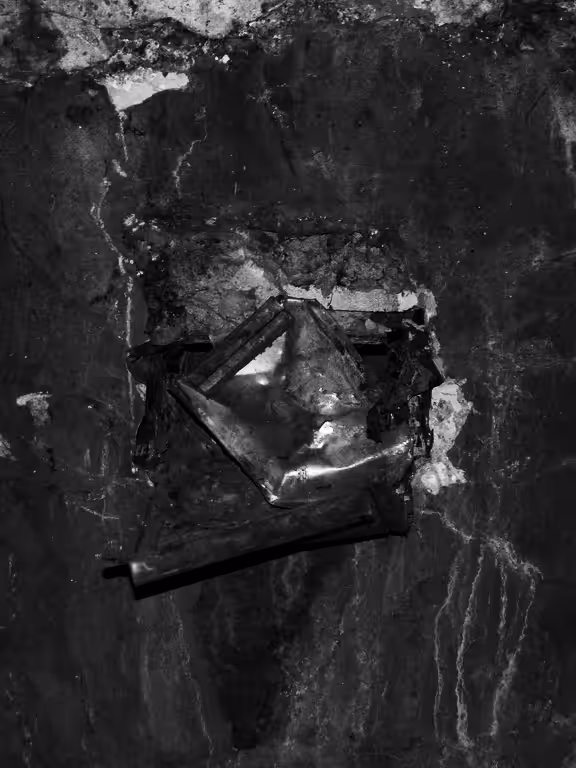 Unexpected Disfigure_07