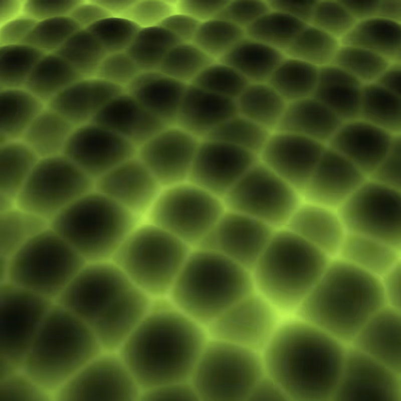 Cellular Data #1