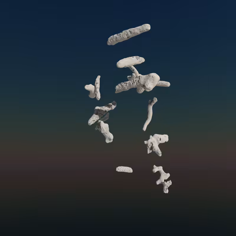 Bone Work (Gulf of Mexico) 2022 #103