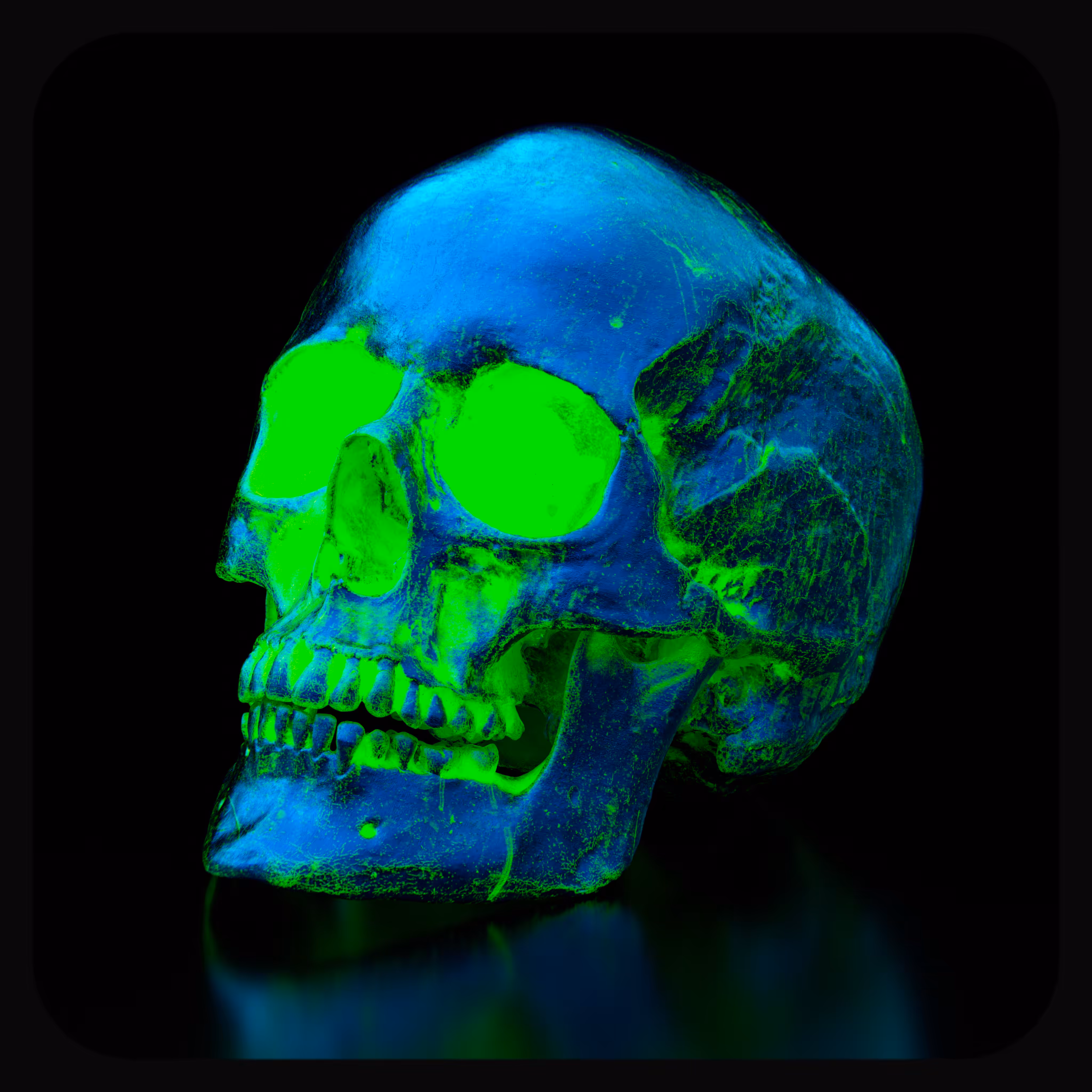 THE FIFTH SKULL