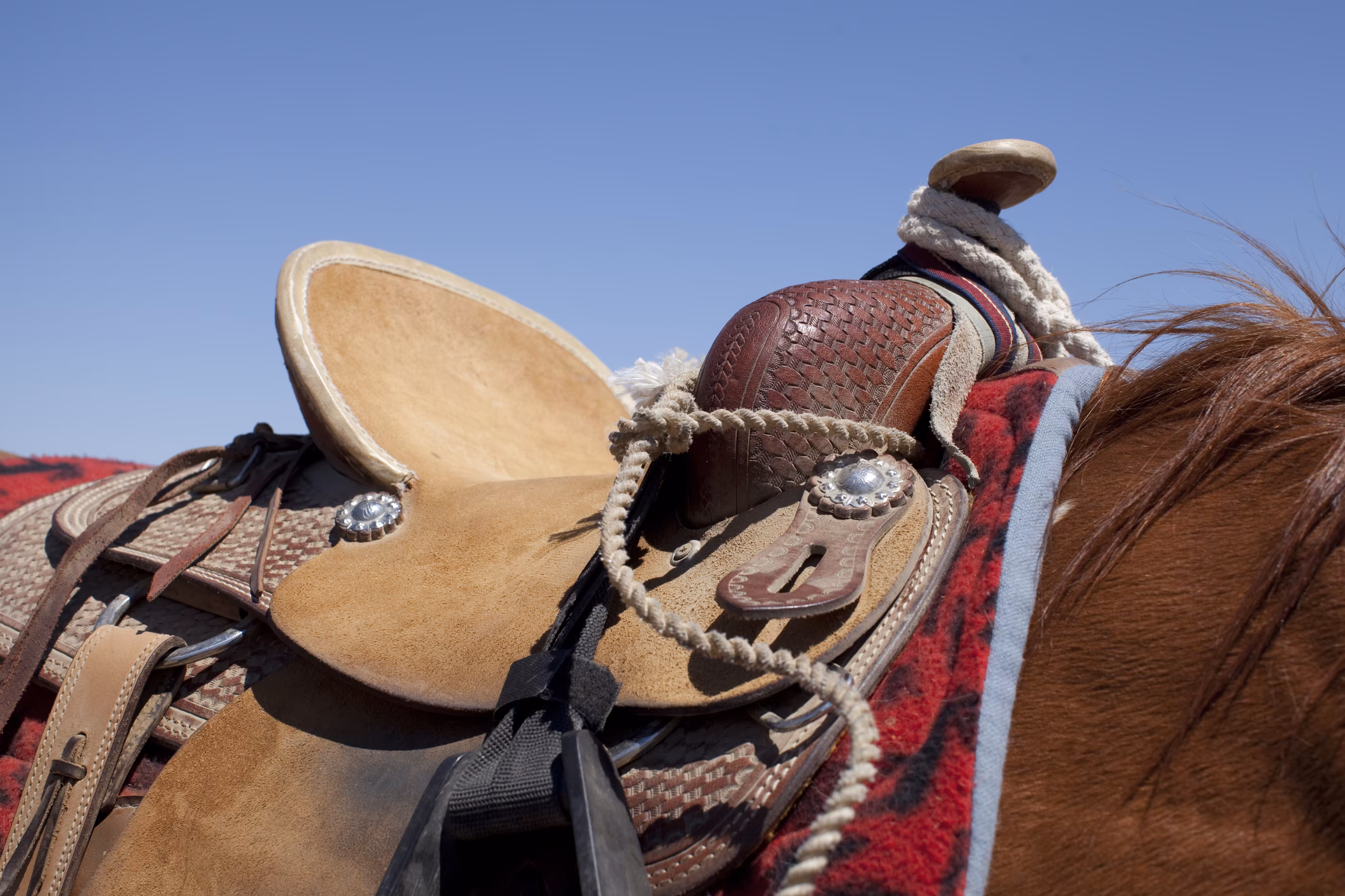 The Contemporary West : Embellished Saddle